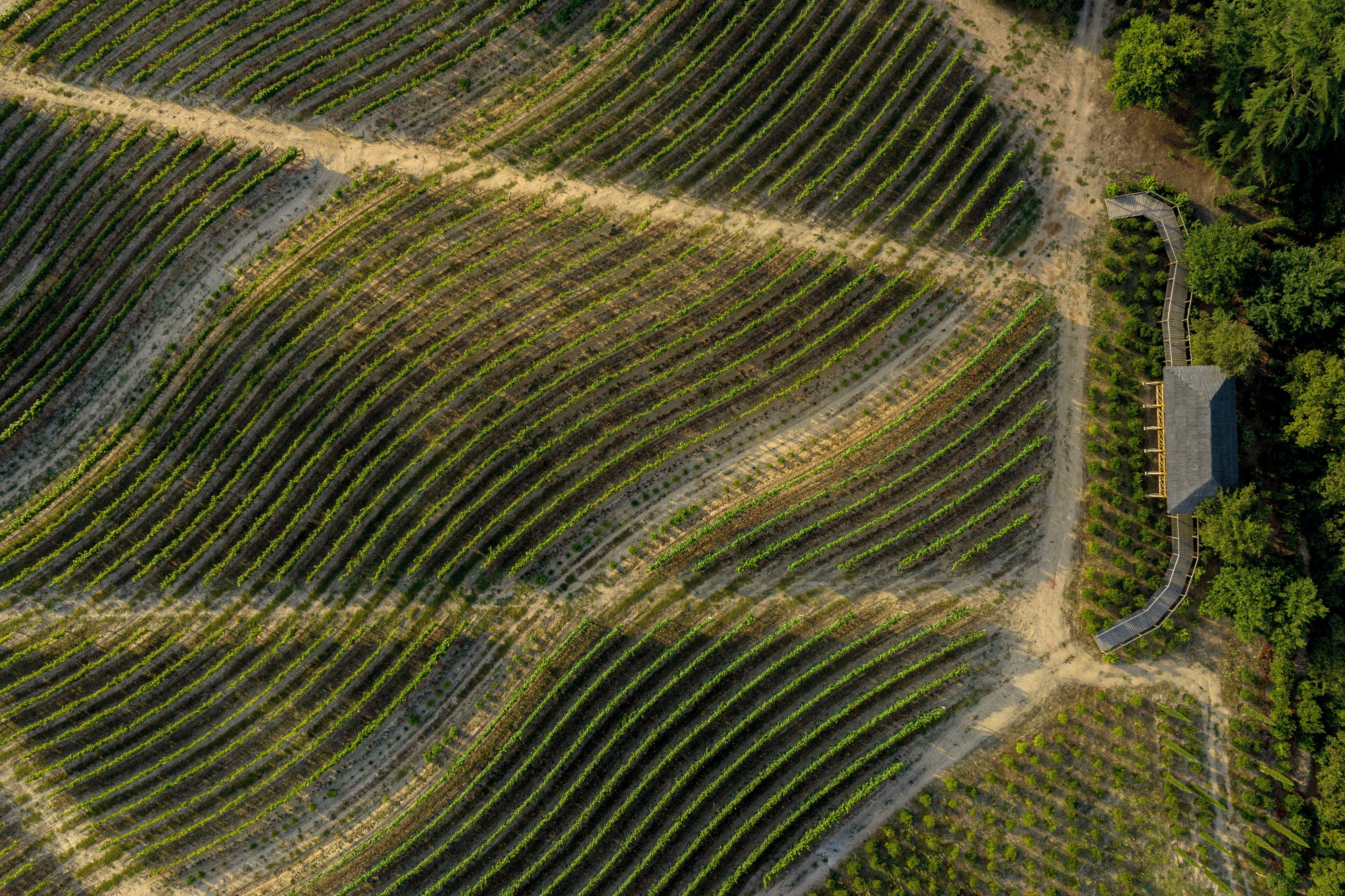 Valverde Santar Hotel & Spa