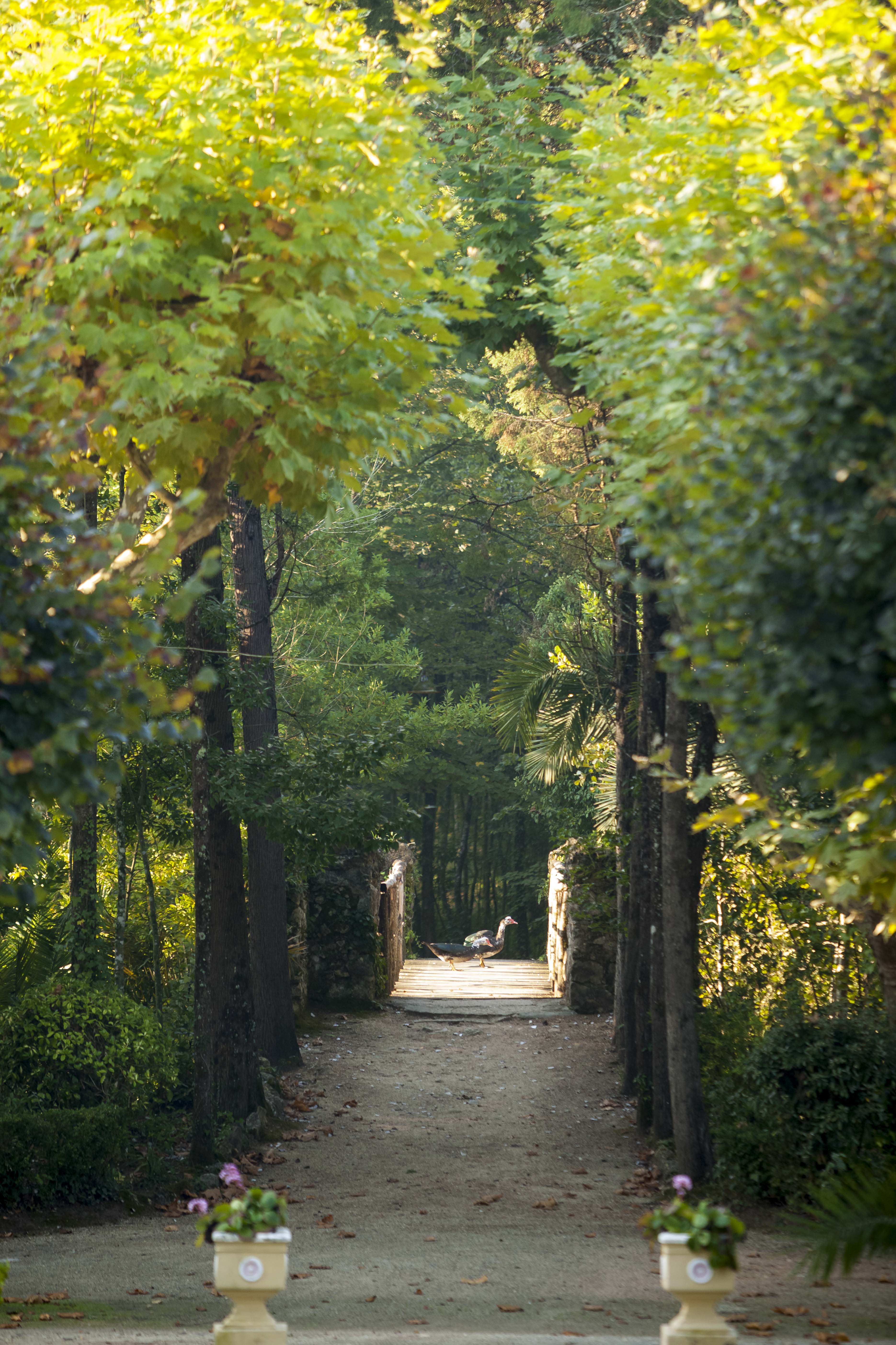 Hotel Termas da Curia