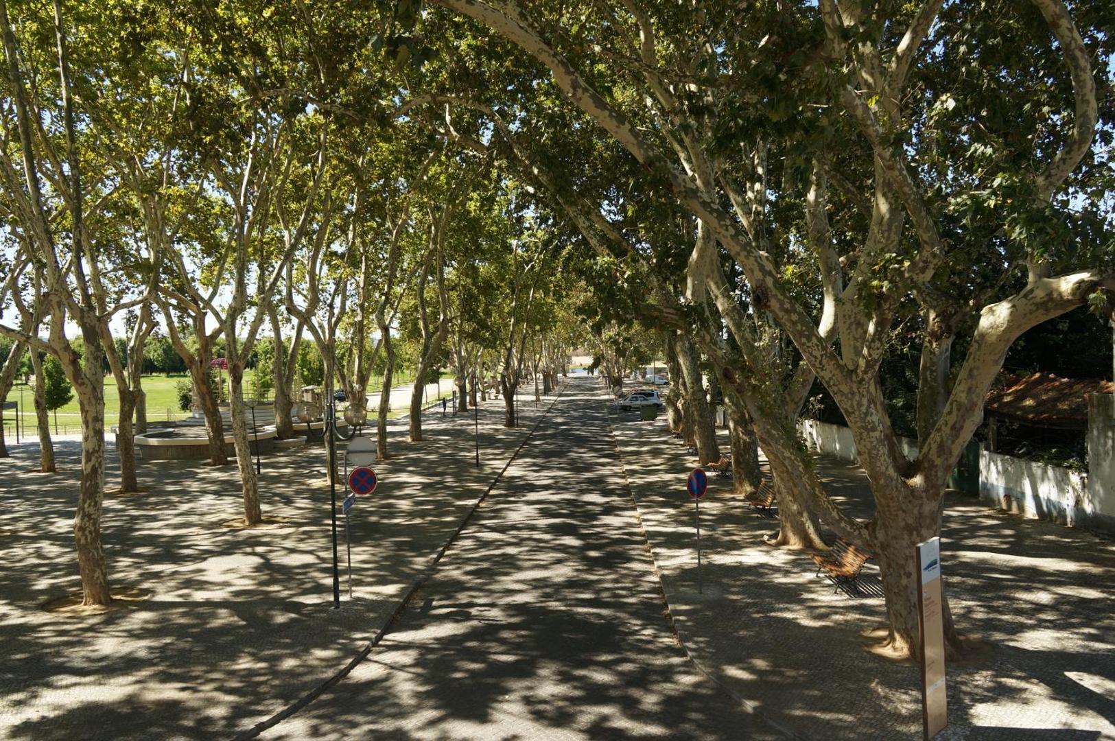 Barquinha Nature House