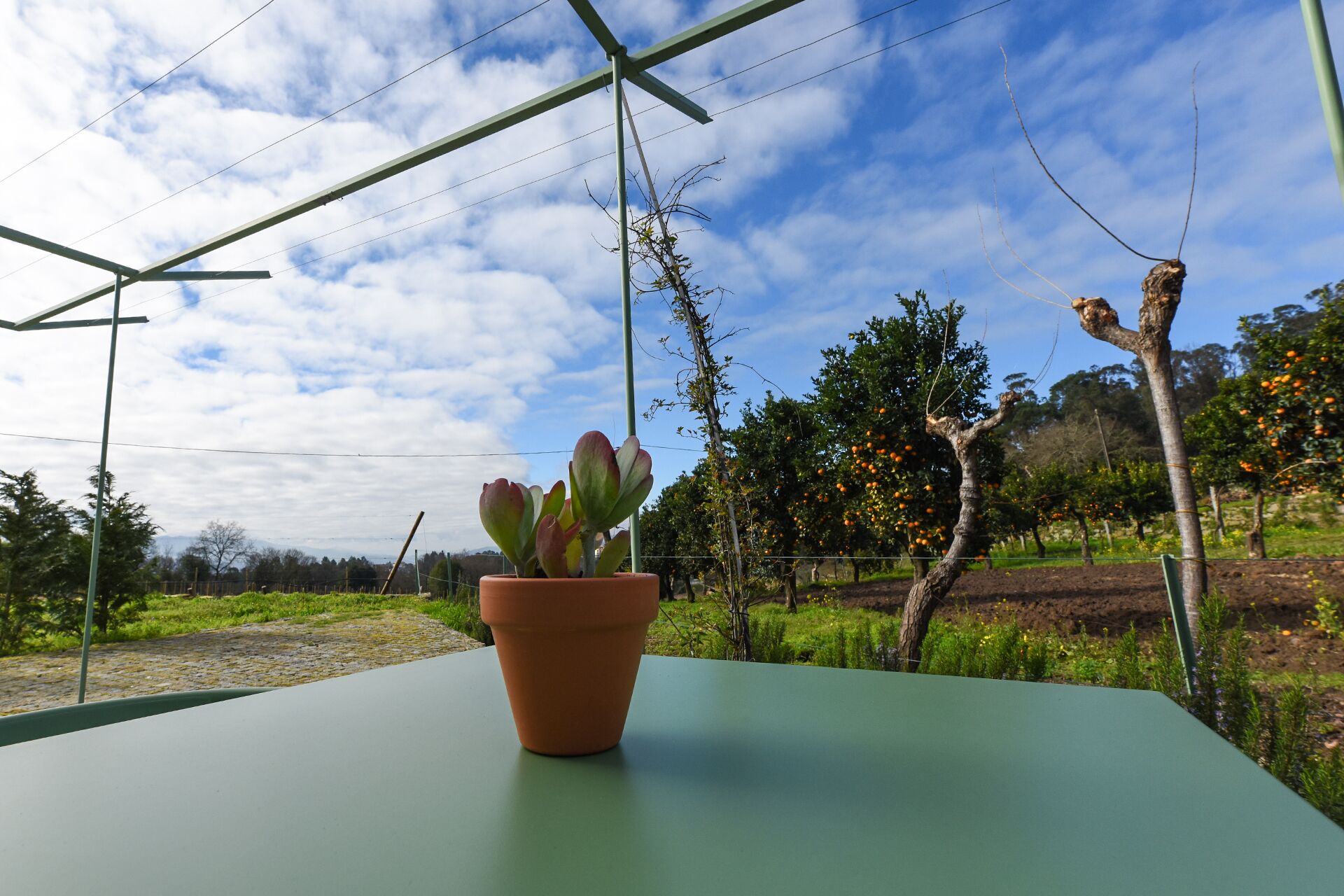 Vila Coura Agroturismo