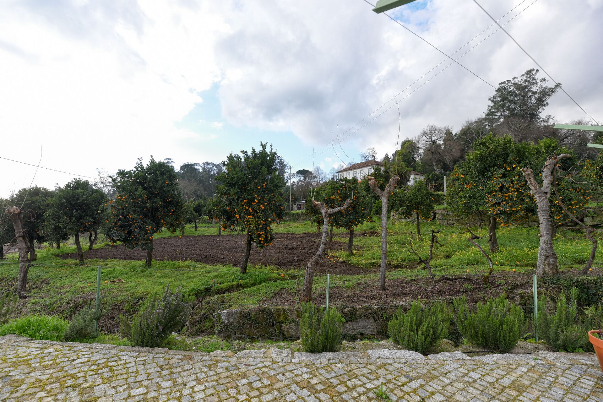 Vila Coura Agroturismo