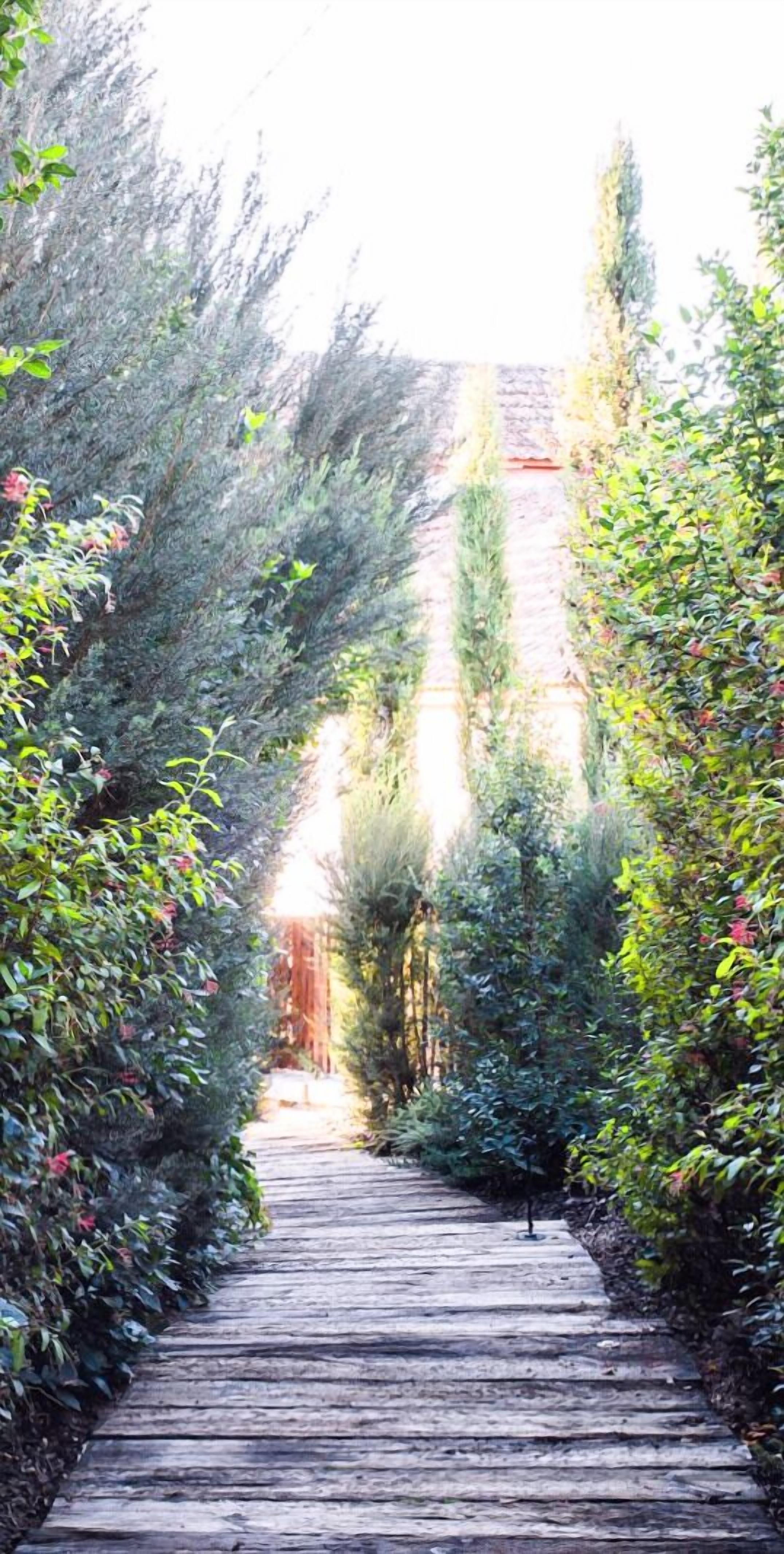 Lavandeira Douro Nature & Wellness