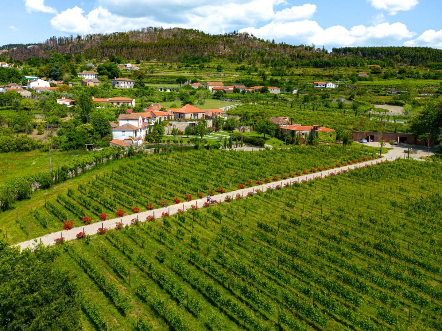 Lavandeira Douro Nature & Wellness