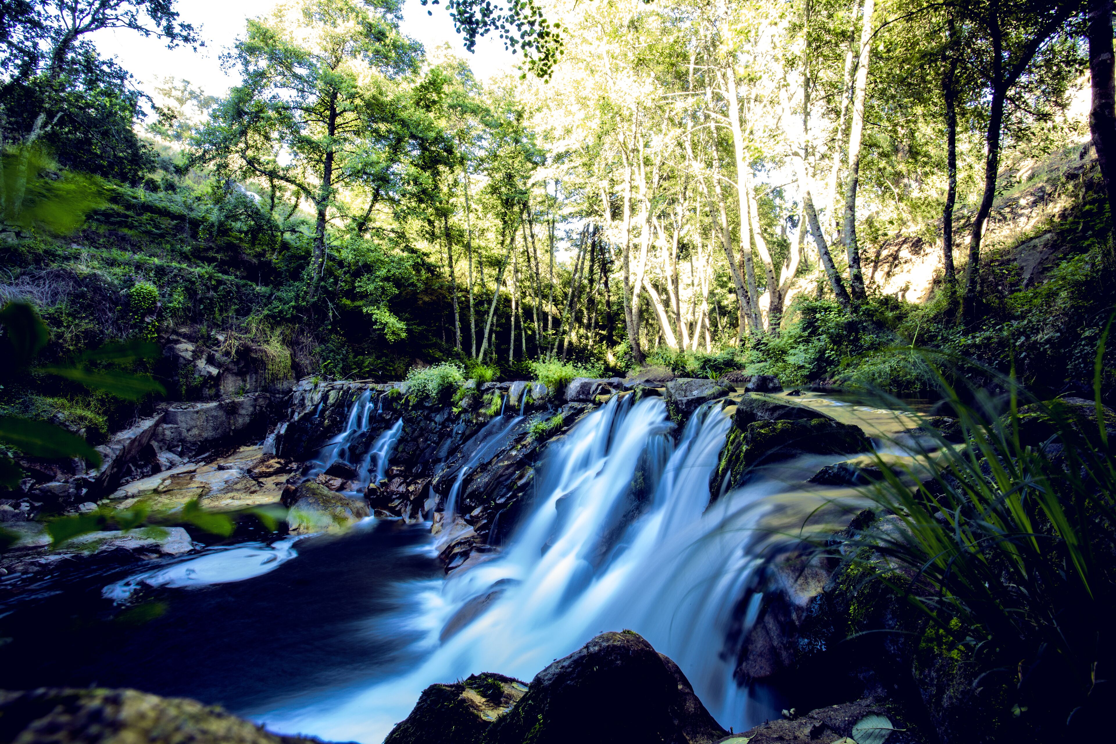 Lavandeira Douro Nature & Wellness