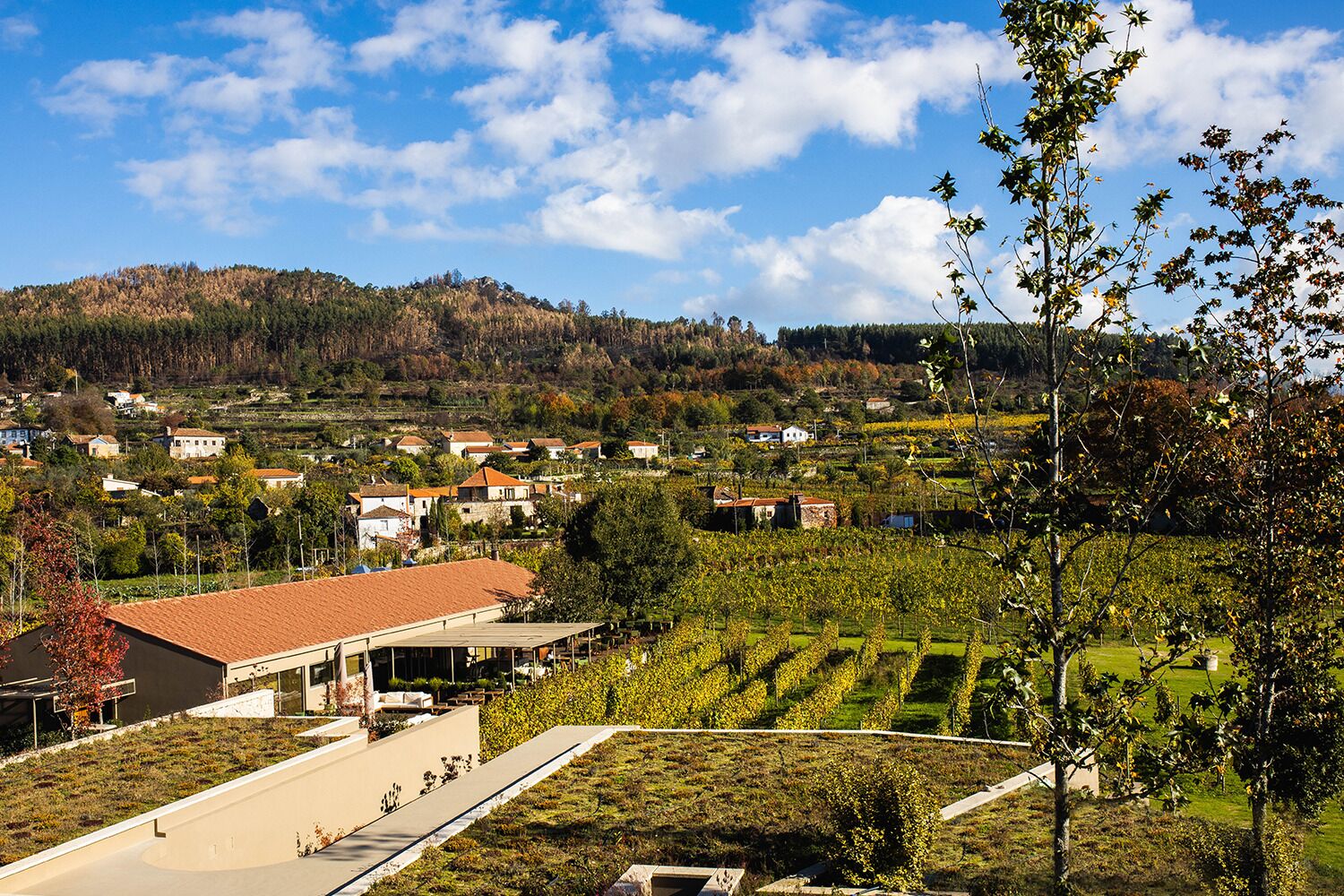 Lavandeira Douro Nature & Wellness