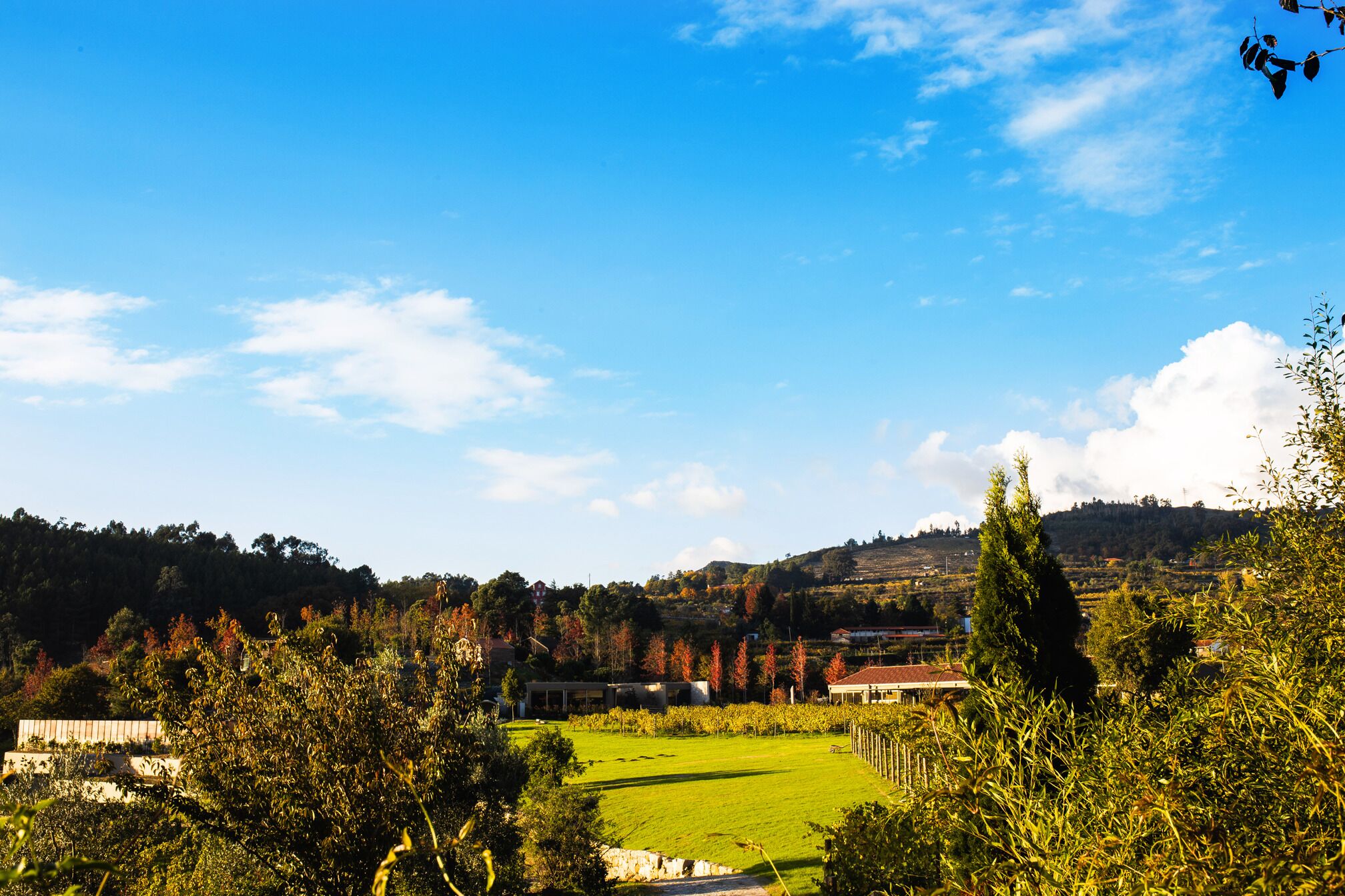 Lavandeira Douro Nature & Wellness