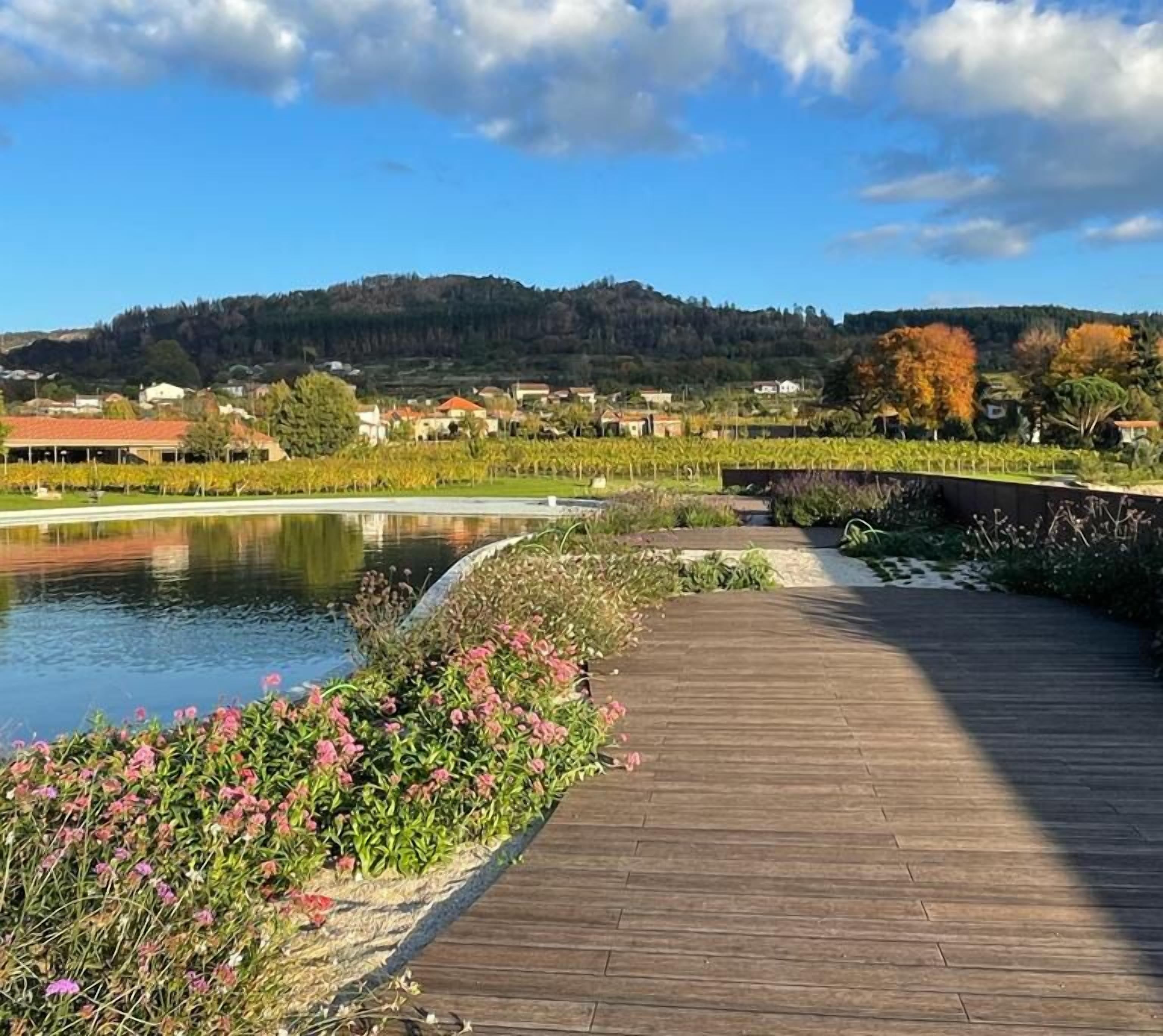 Lavandeira Douro Nature & Wellness