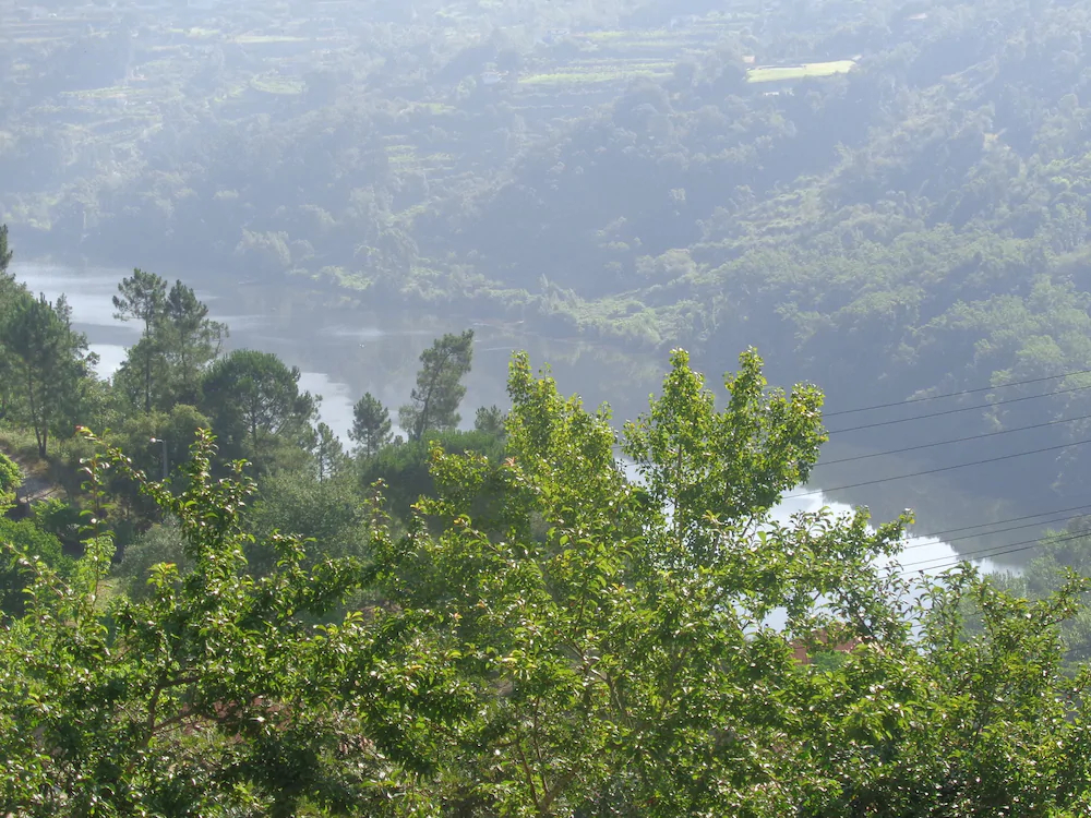 Bernardes House