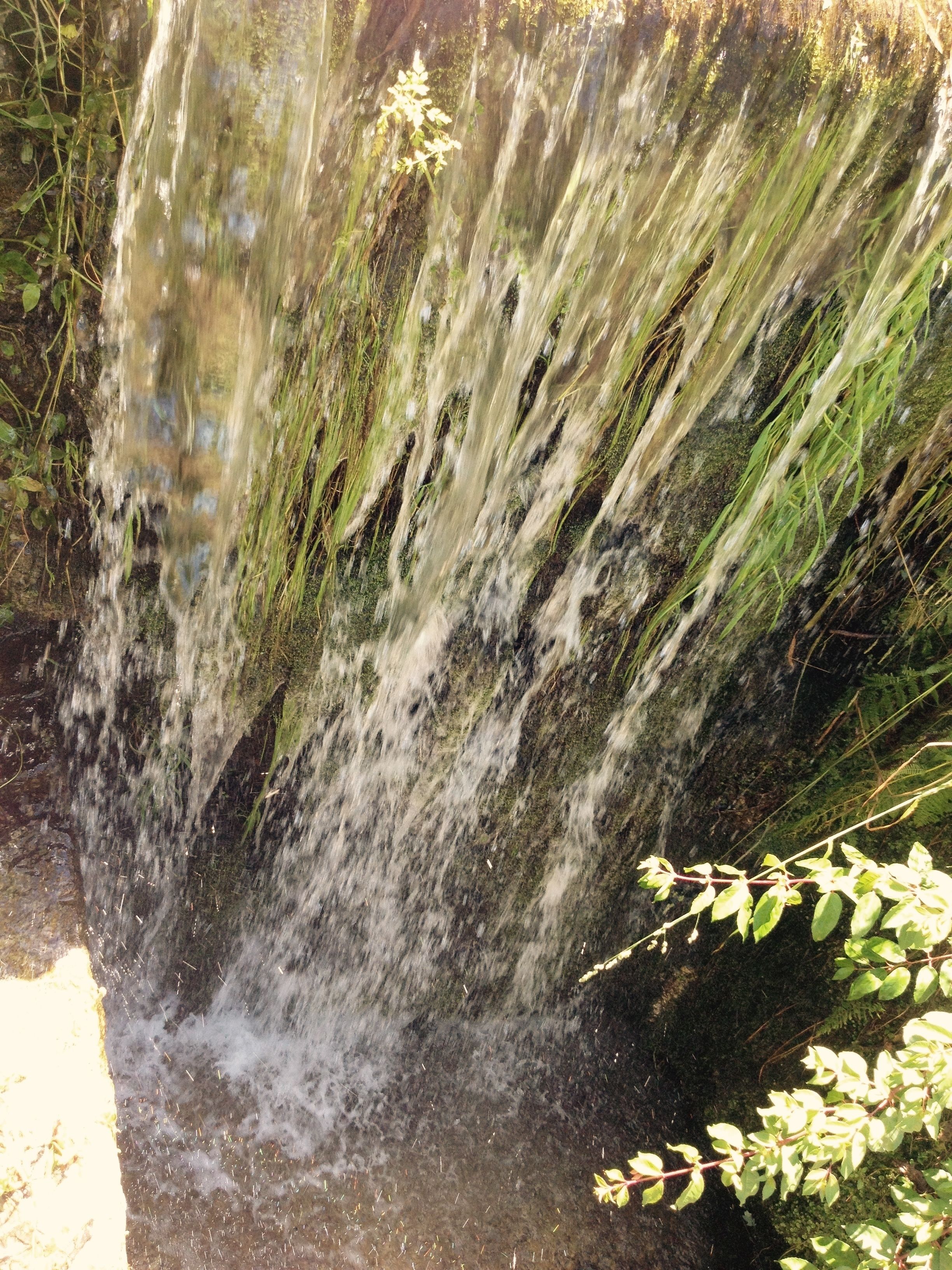 Propriedade do Pires Lda