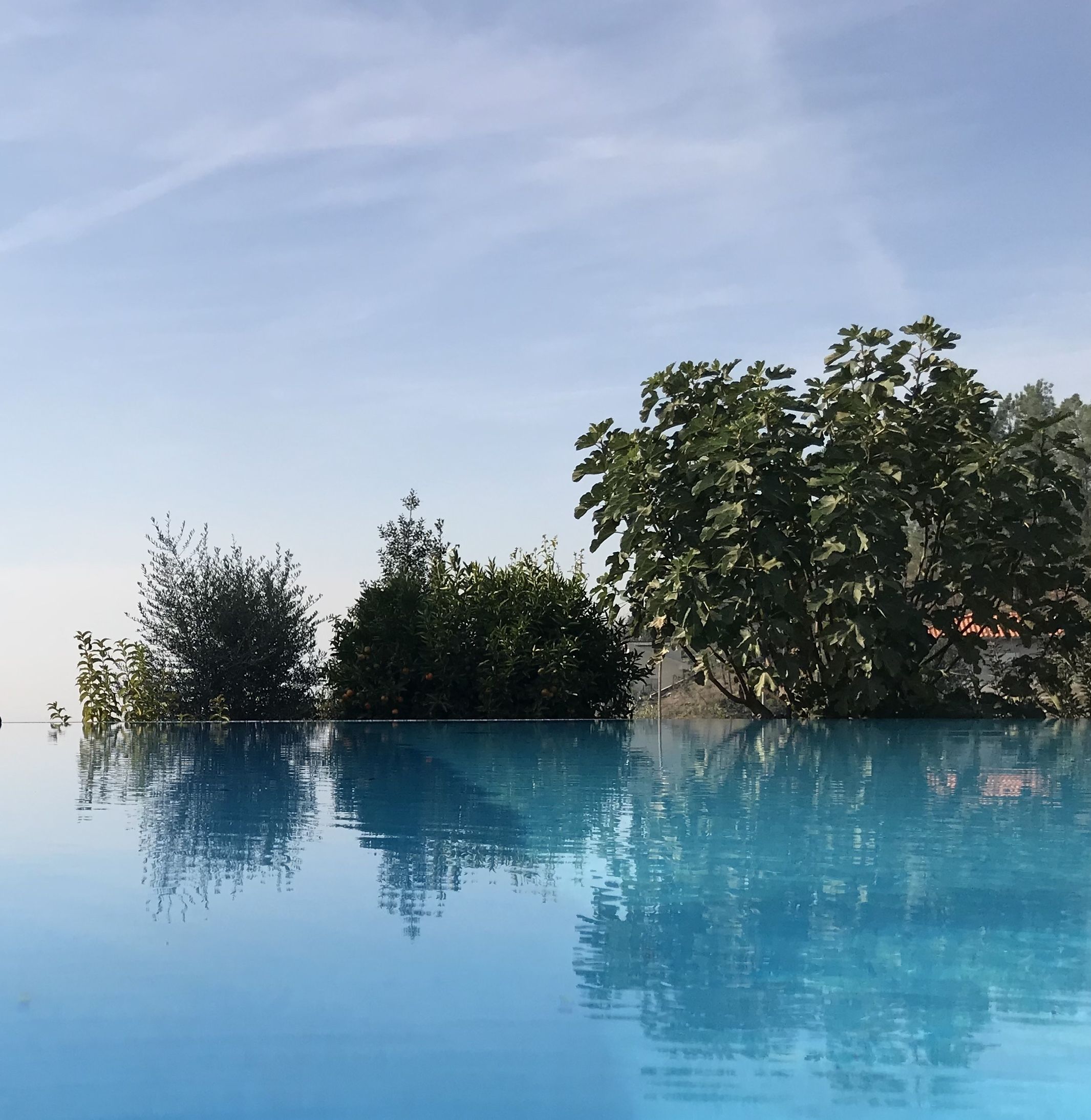 Propriedade do Pires Lda