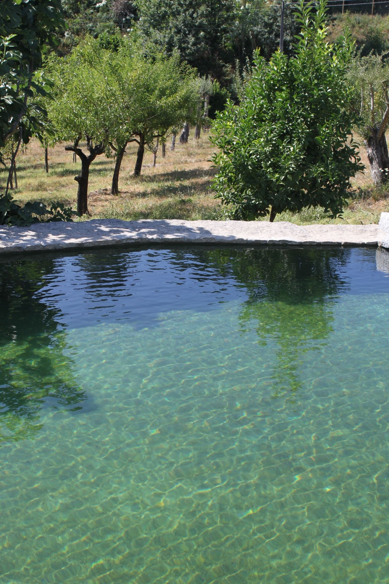 Propriedade do Pires Lda