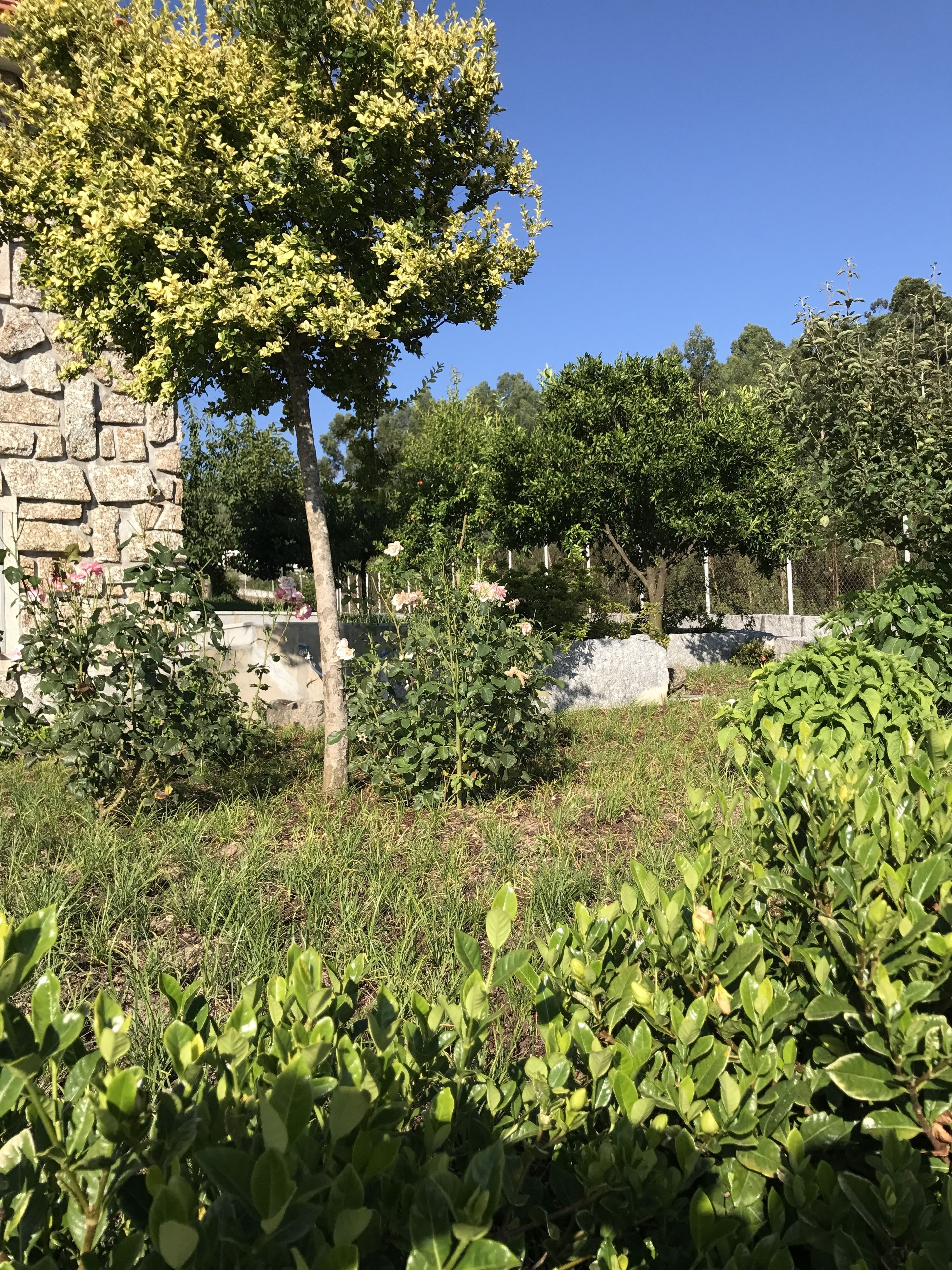 Propriedade do Pires Lda