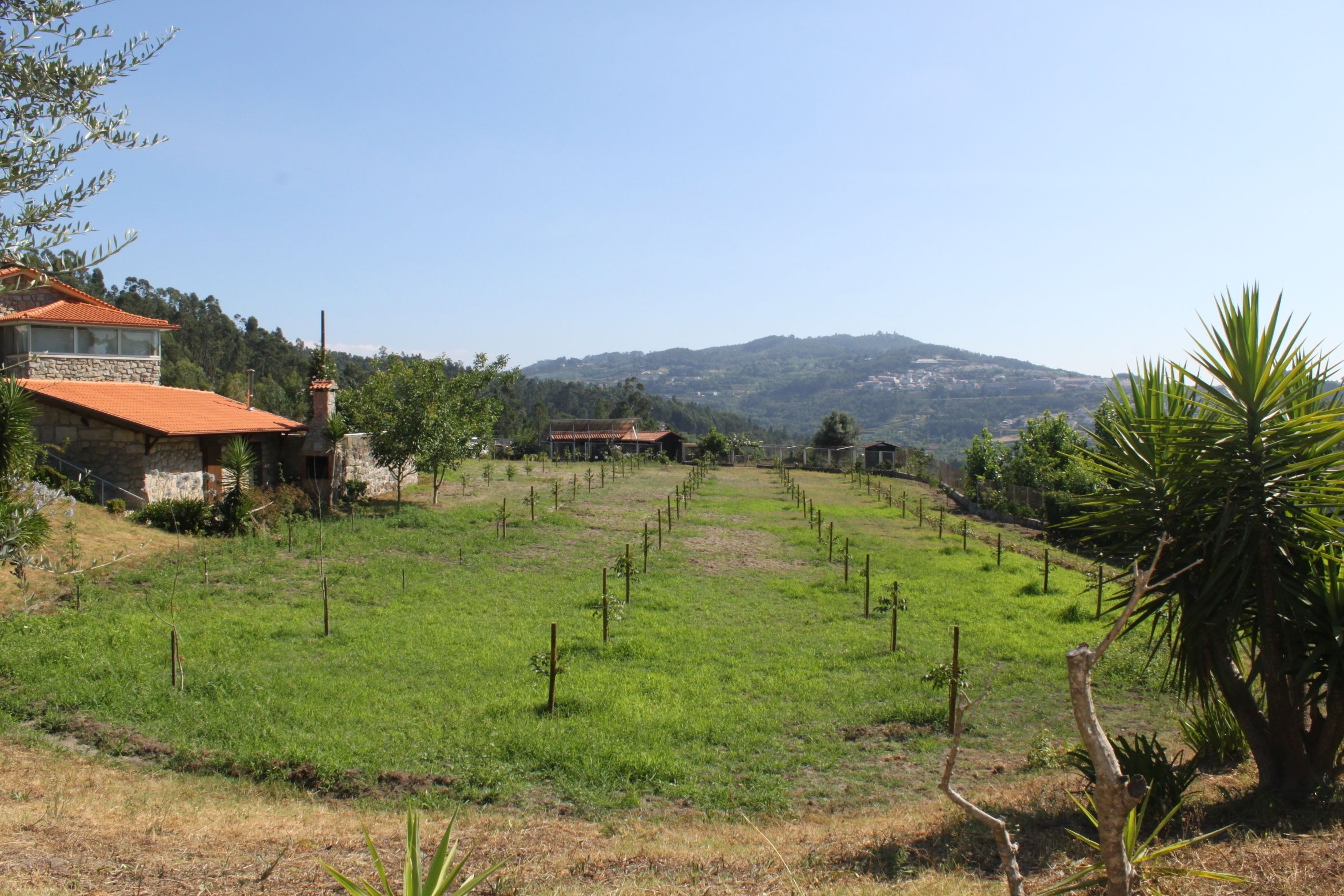 Propriedade do Pires Lda