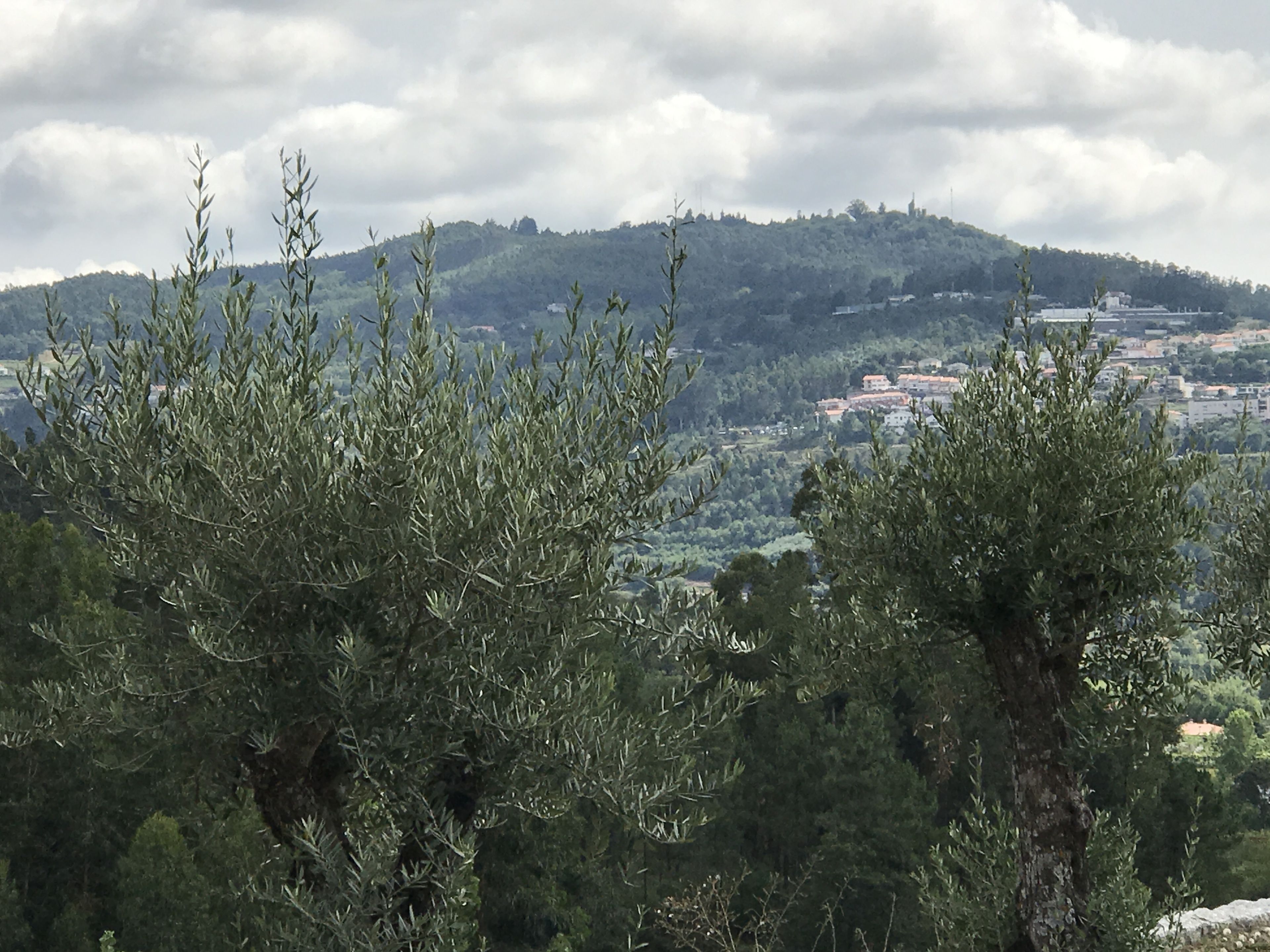 Propriedade do Pires Lda