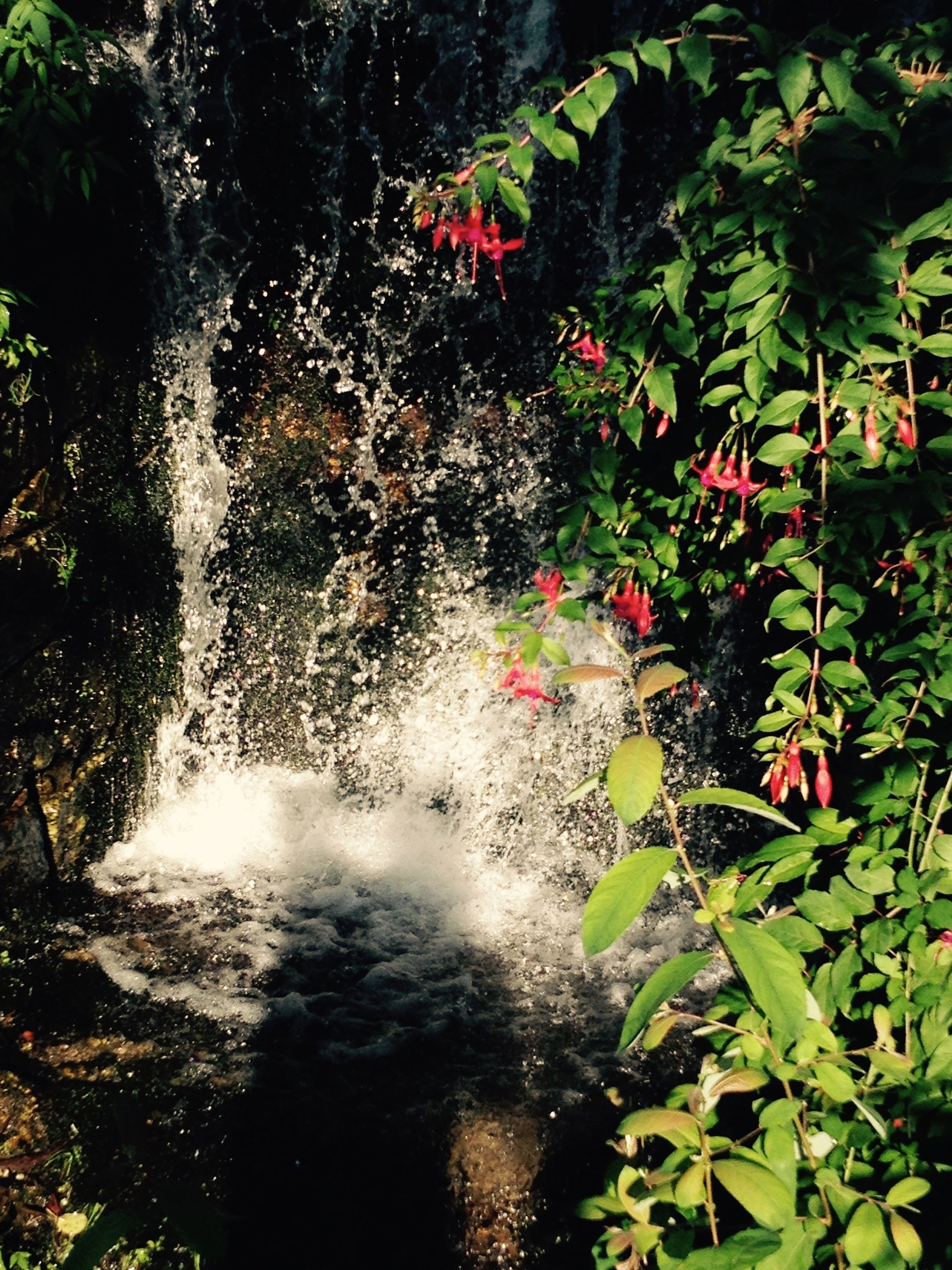 Propriedade do Pires Lda