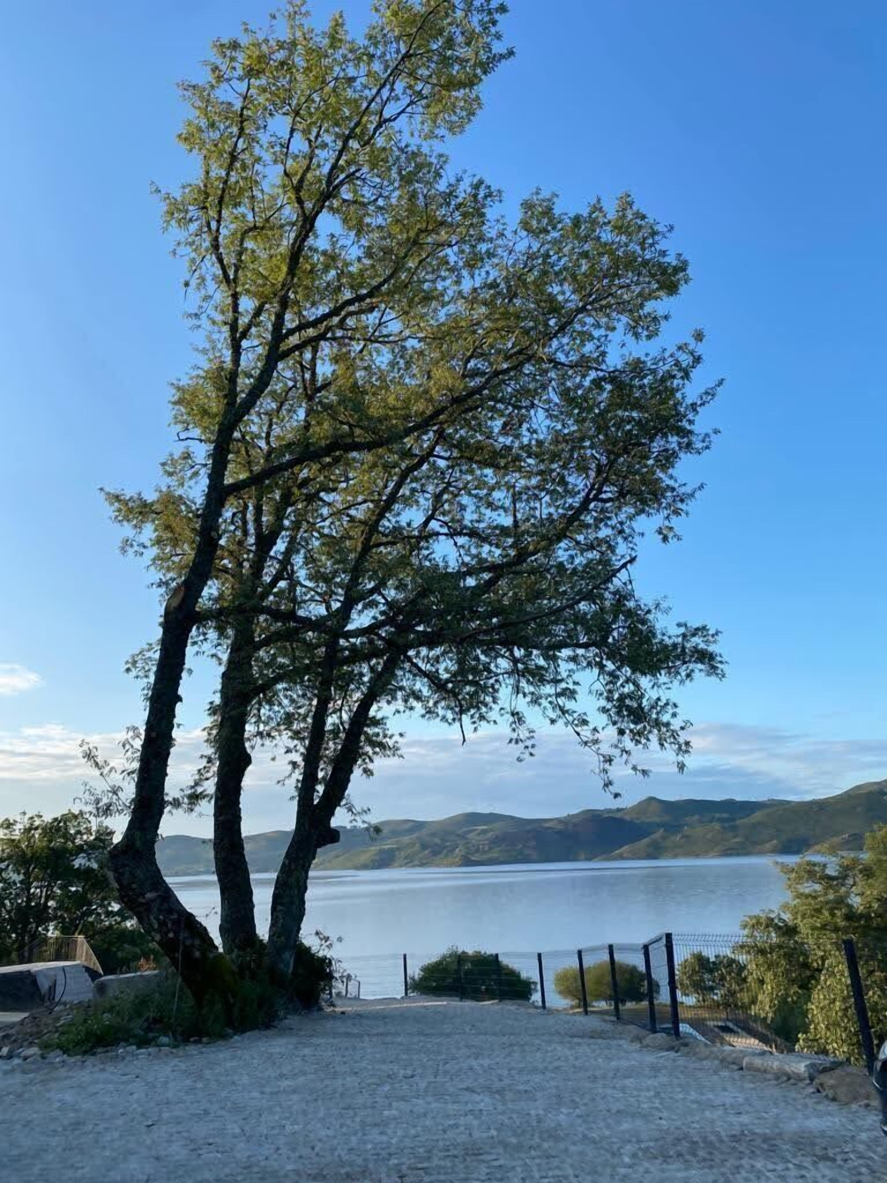 Belas Vistas Hotel