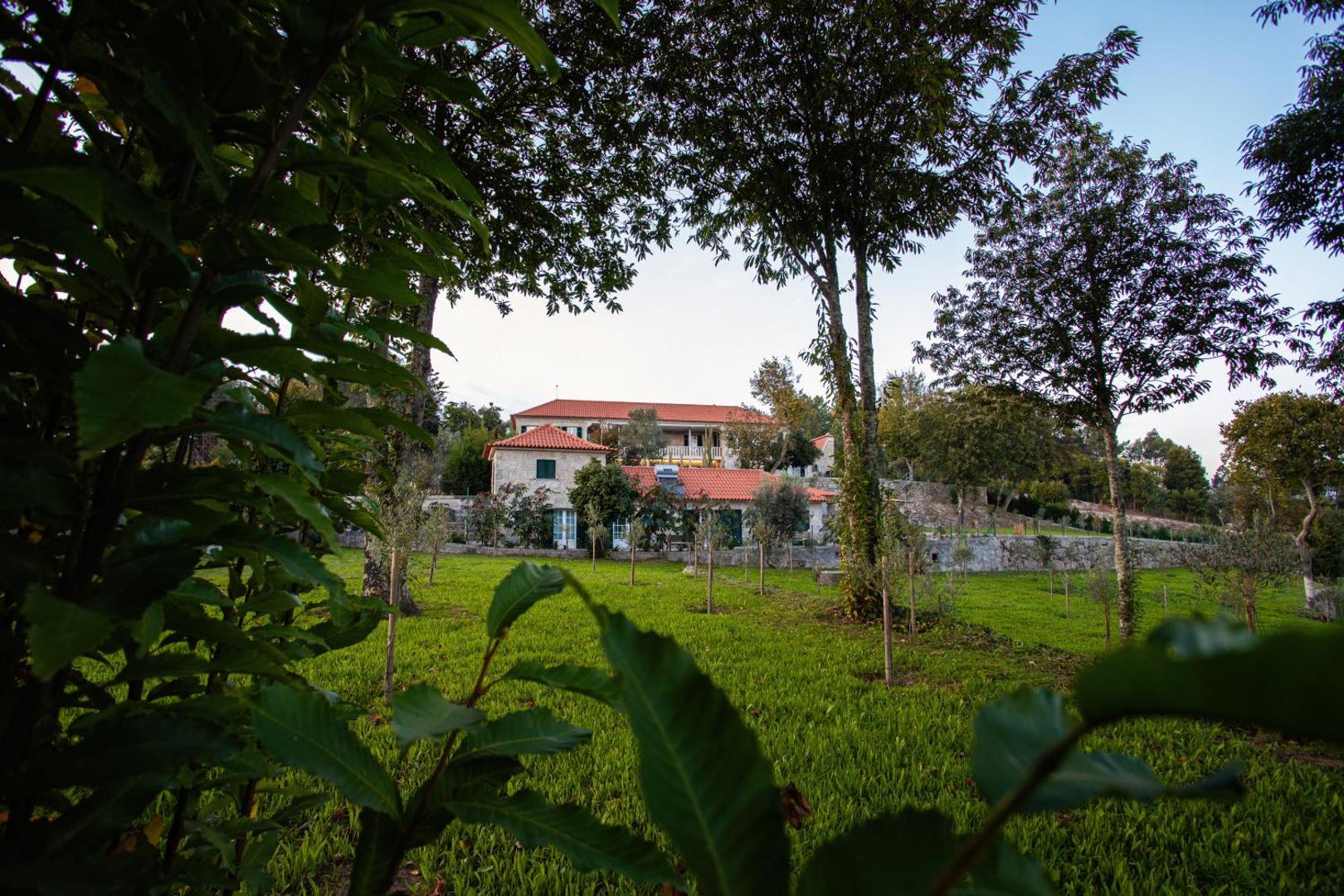 Fonte Velha
