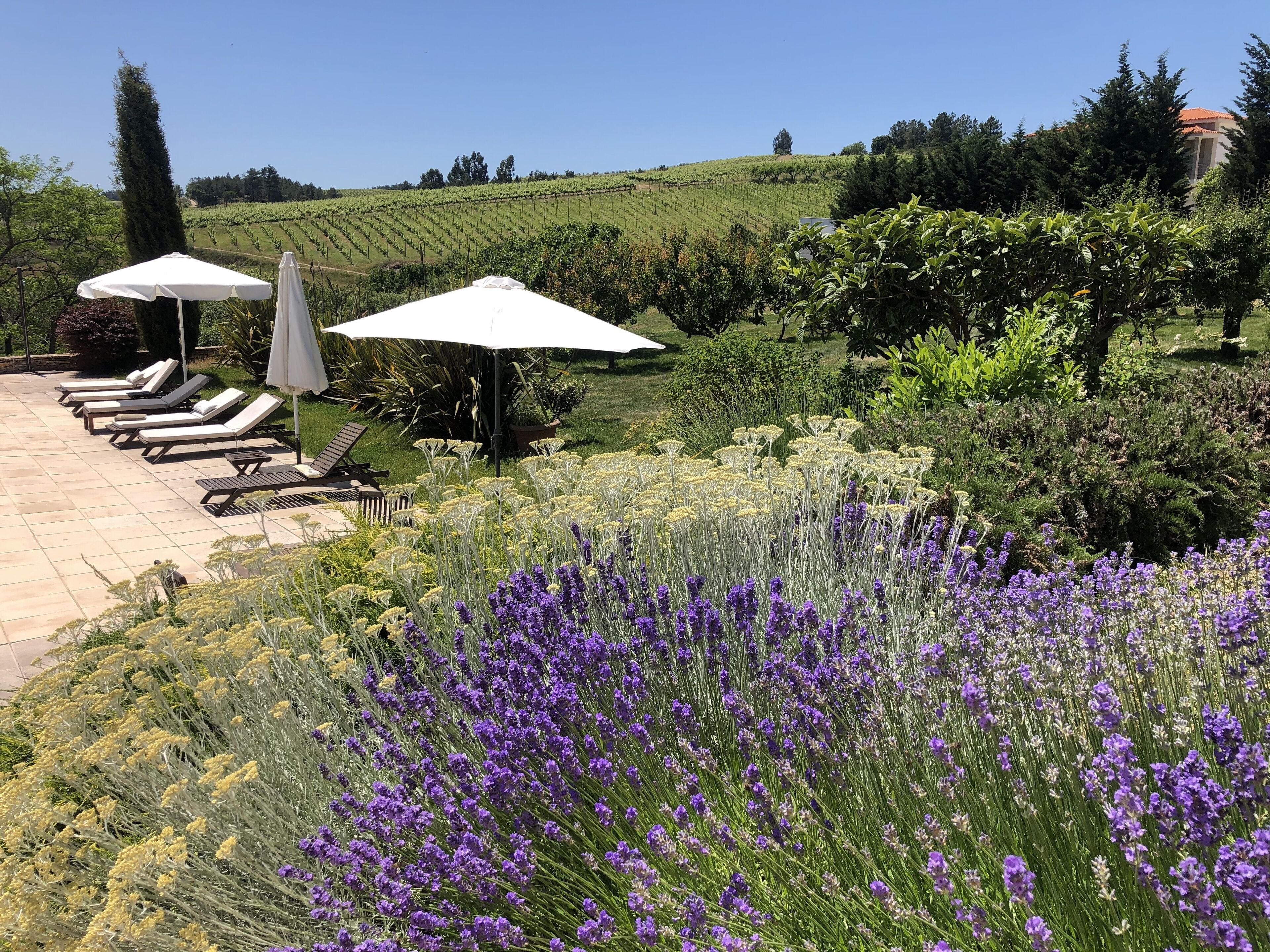 Quinta da Pereira e Enricas