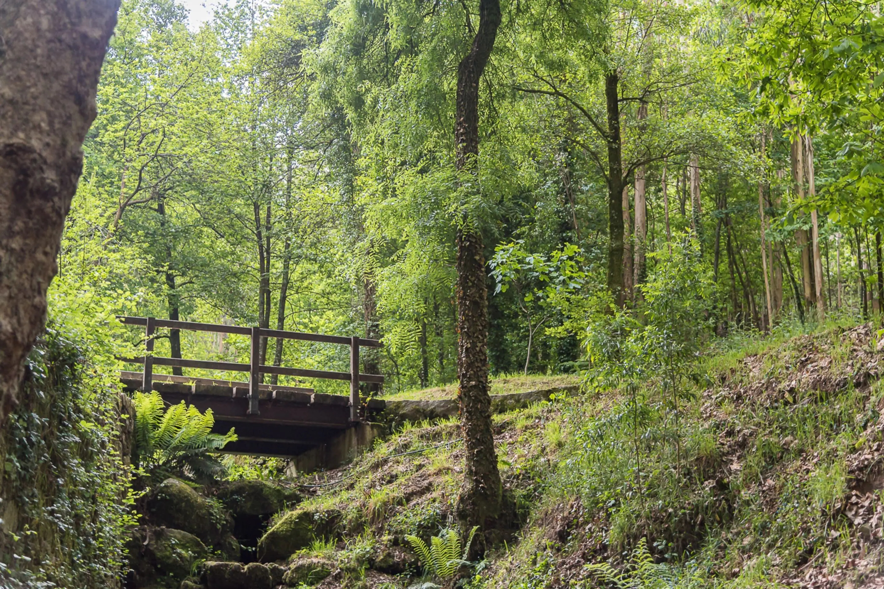 Quinta Das Pirâmides 