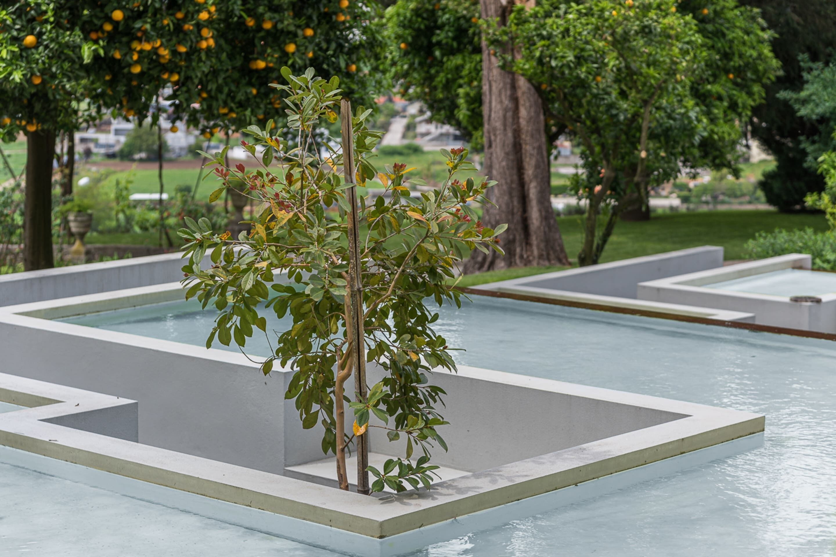Quinta Das Pirâmides 