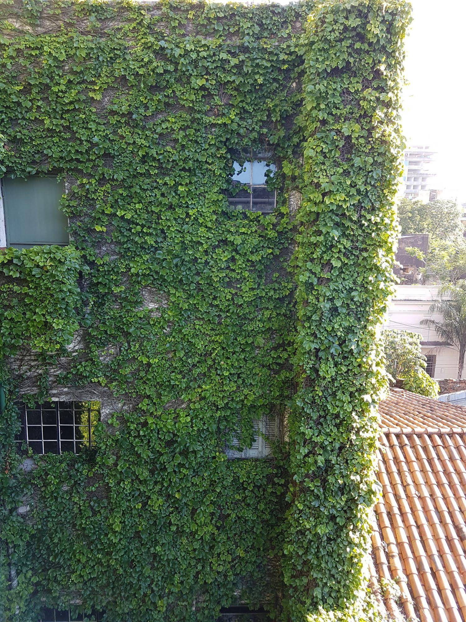 Hotel Asuncion Palace
