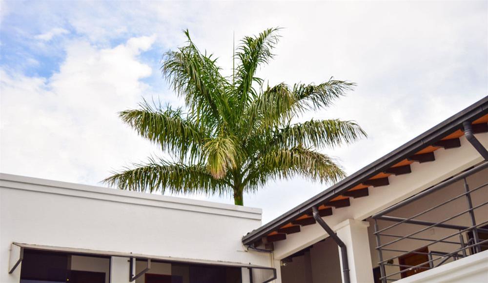 Hotel Pantanal Inn