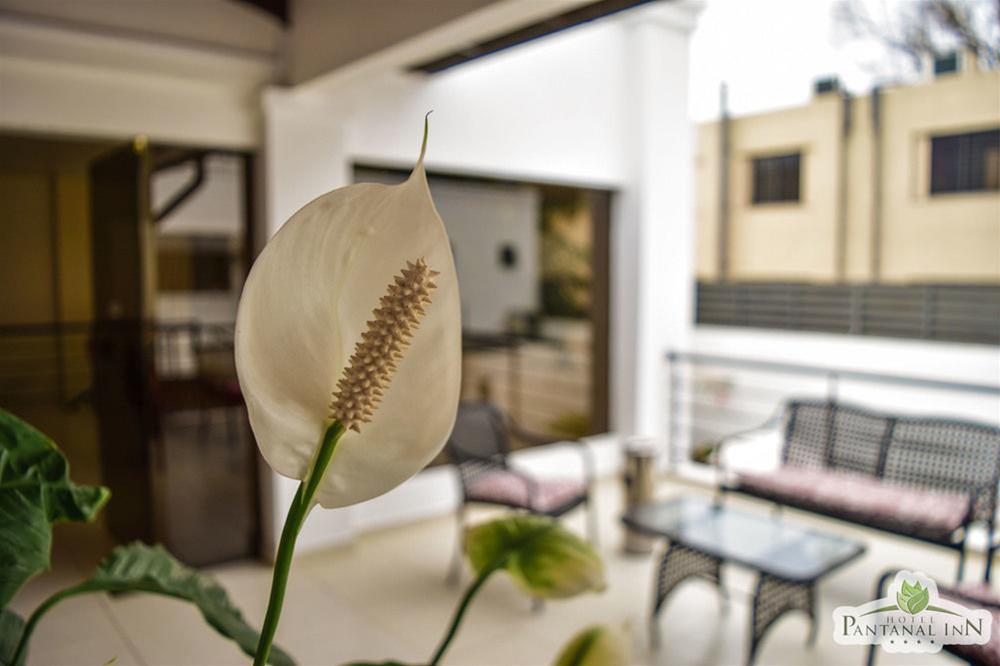 Hotel Pantanal Inn