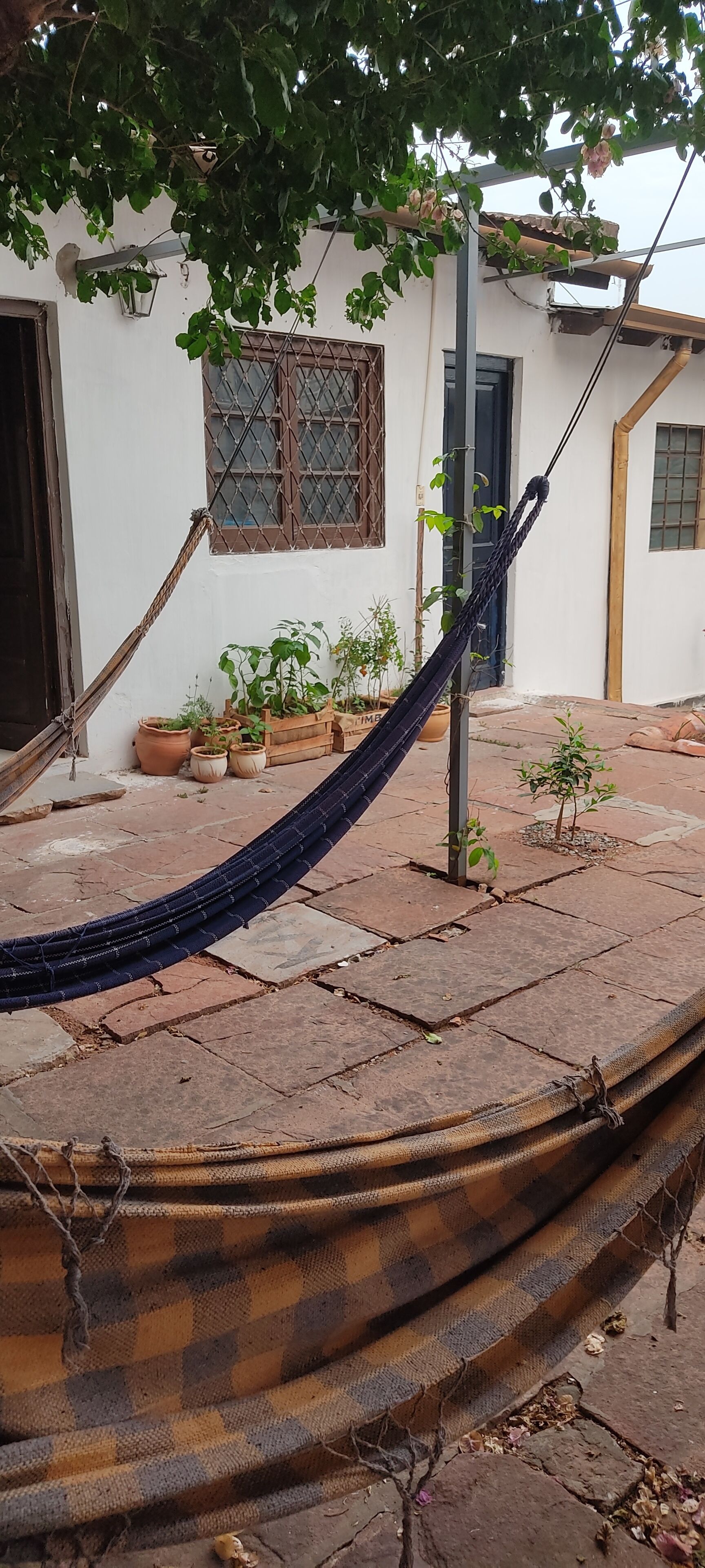 Mediterraneo Hostel