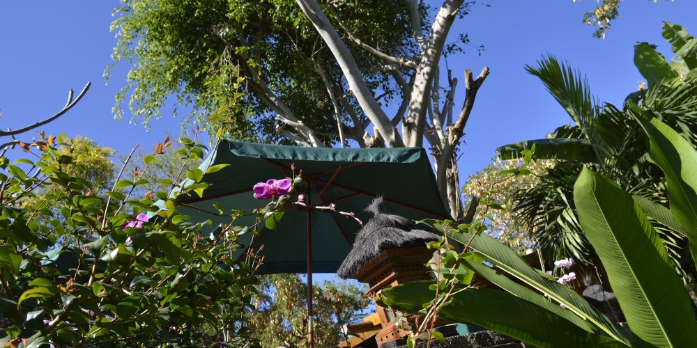Lodge Roche Tamarin & Spa - Village Nature