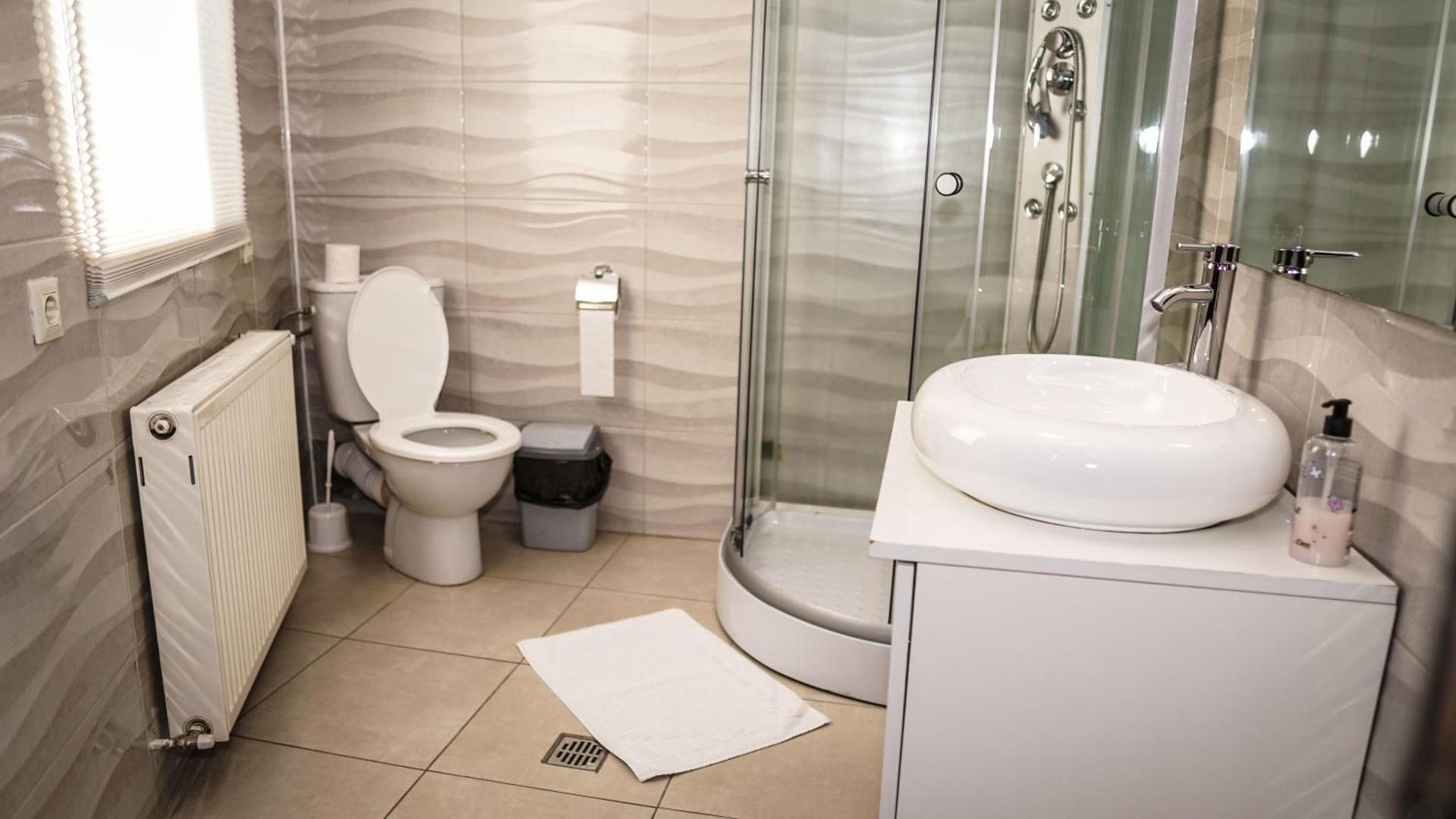 Bucharest Center Villa