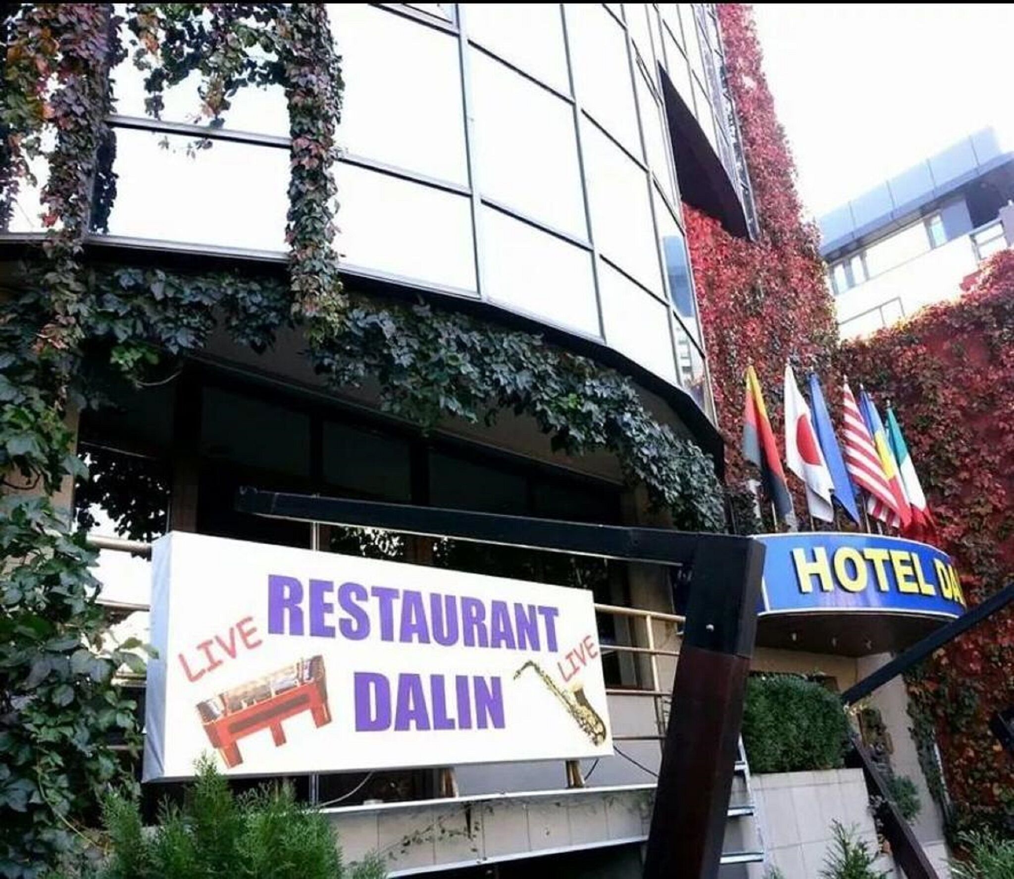 Dalin