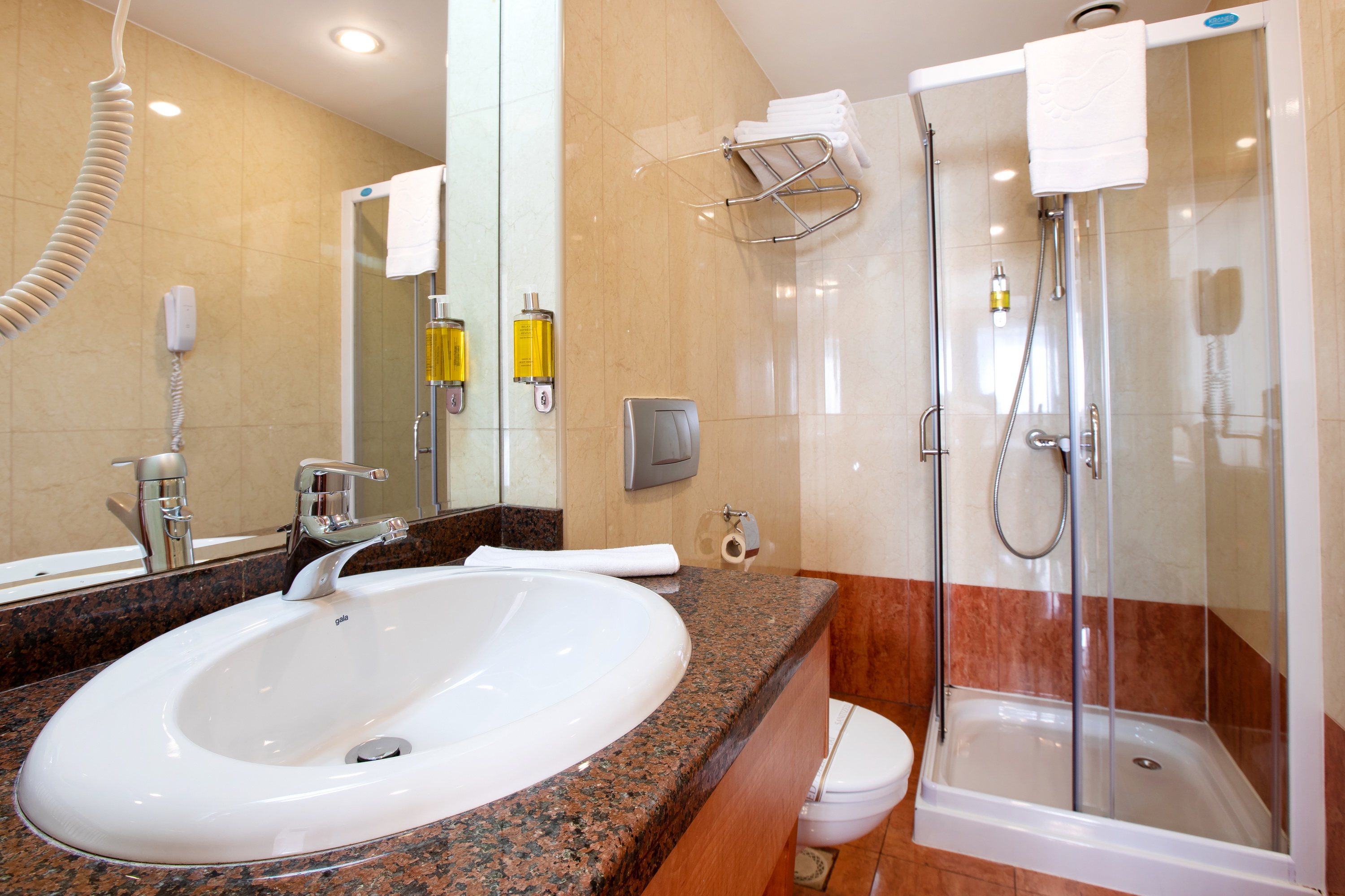 Hotel Duke Romana