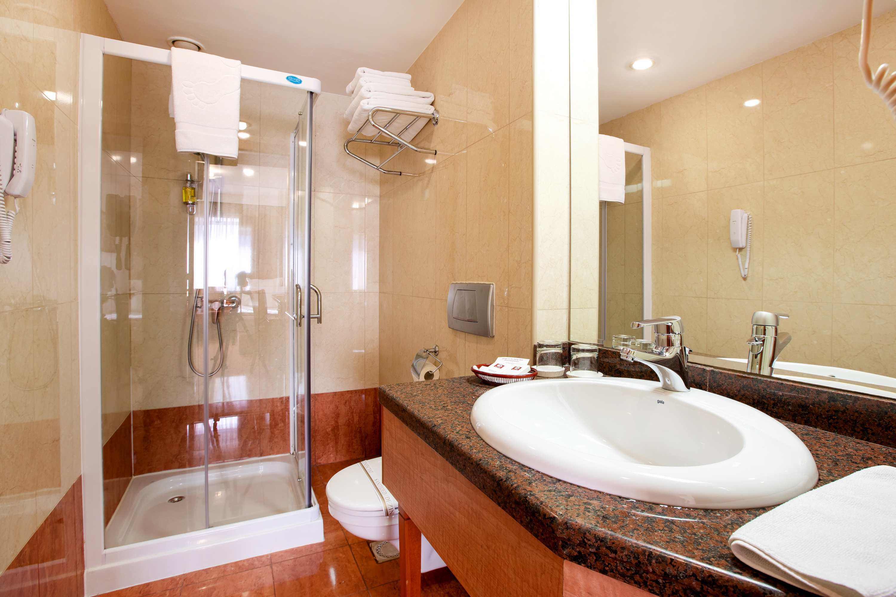 Hotel Duke Romana