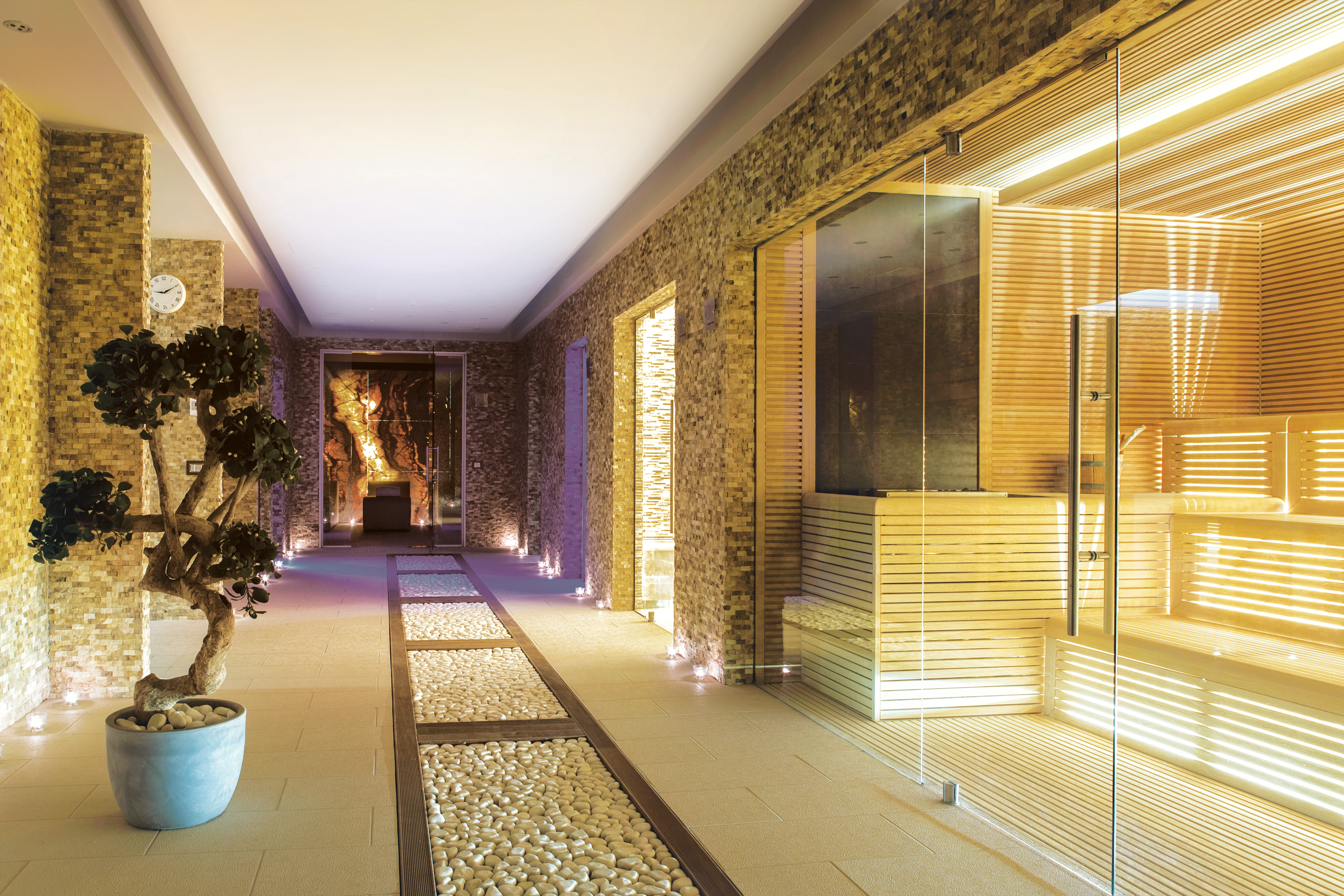 Hotel Spa Resort Premier Palace