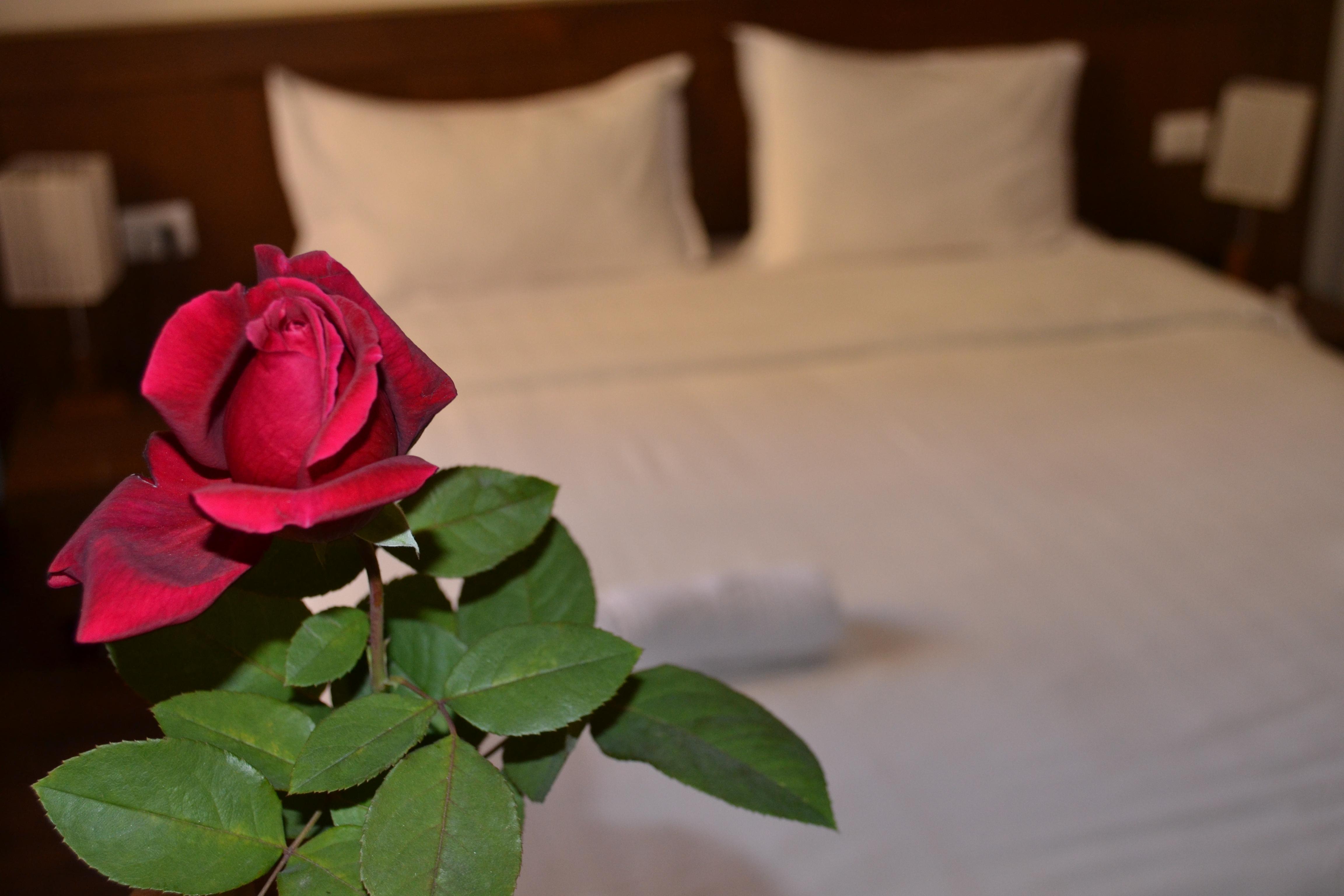 Phoenicia Comfort Hotel