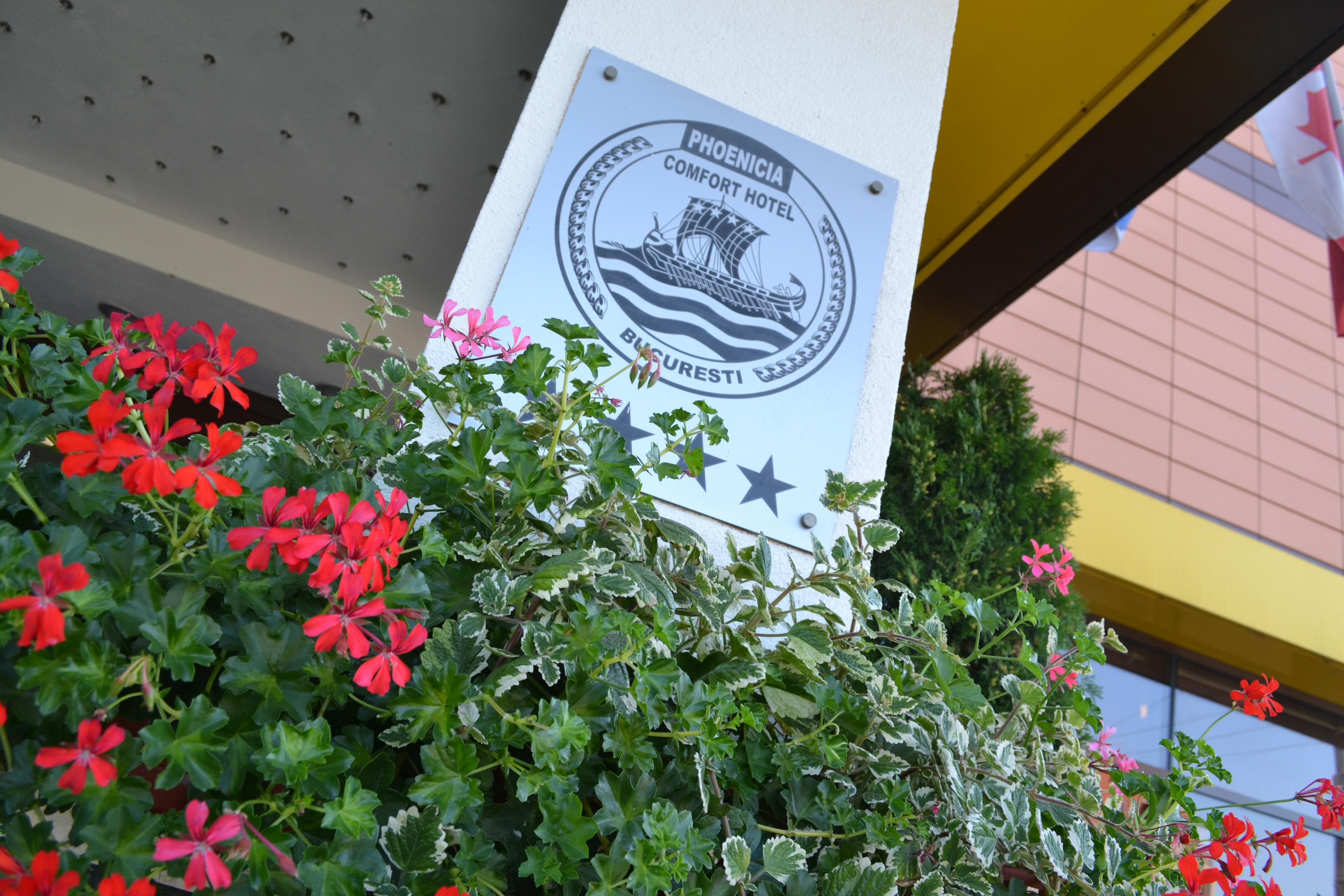 Phoenicia Comfort Hotel