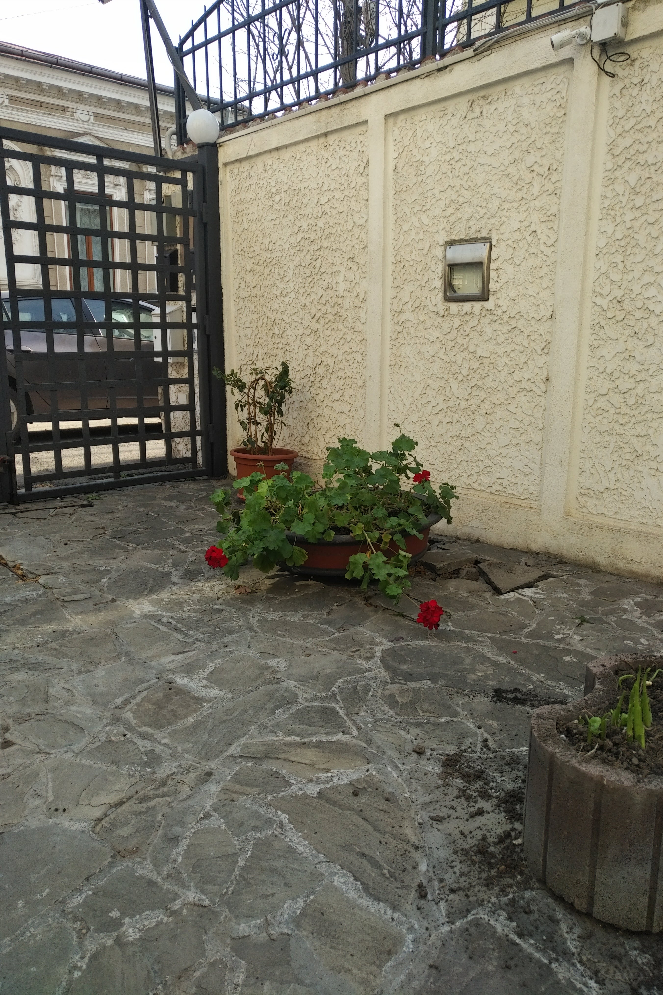Prince Residence