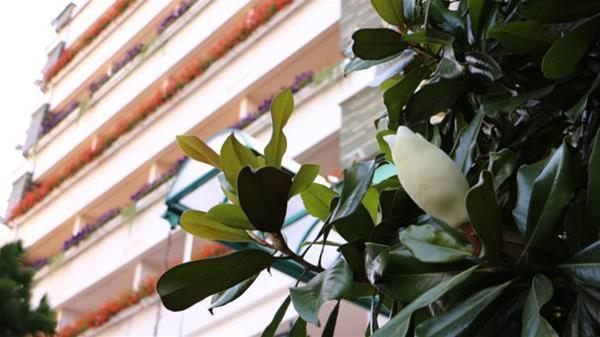 Hotel Carpati