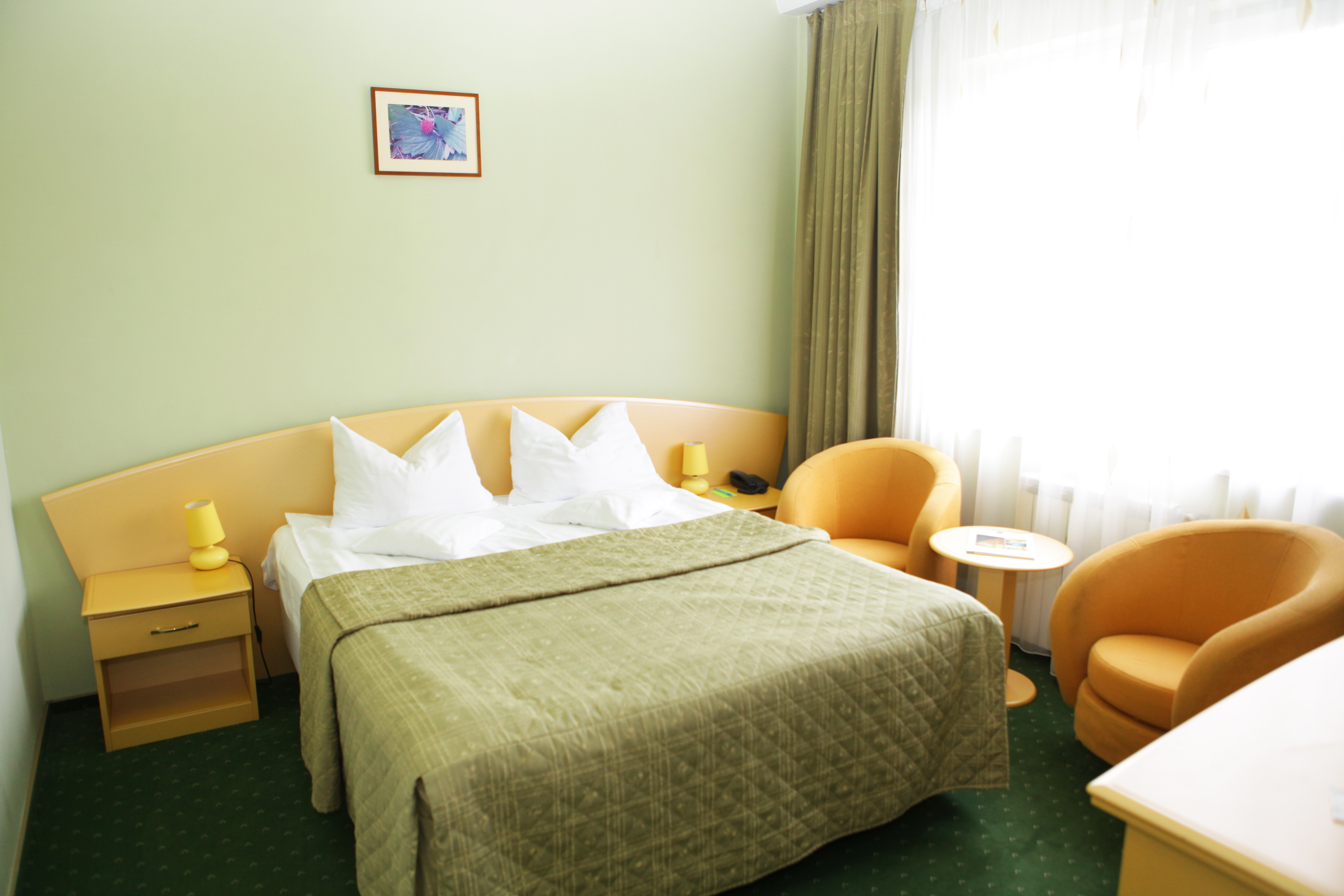 EuroHotel Baia Mare