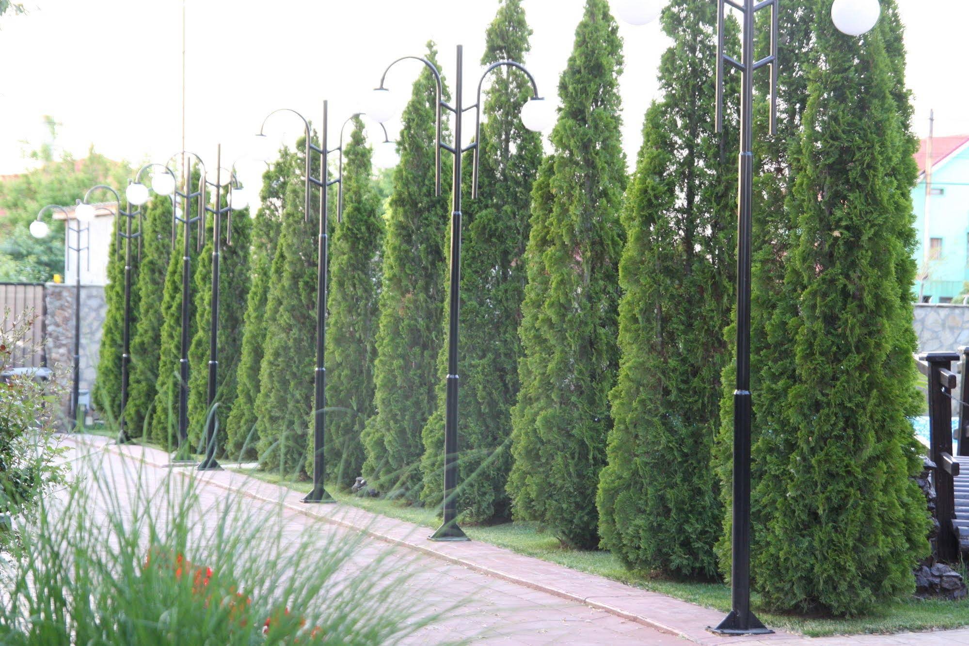 Pensiunea Rixos
