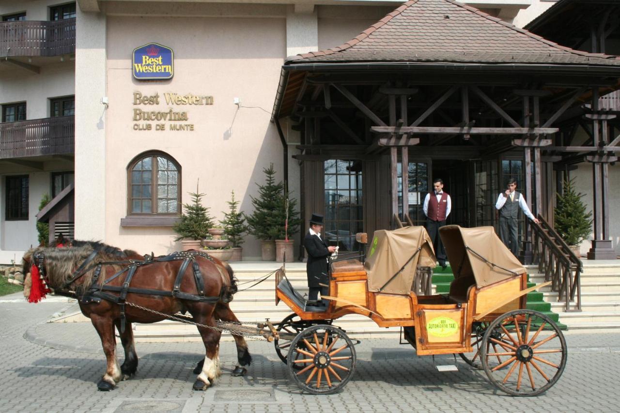 Best Western Bucovina