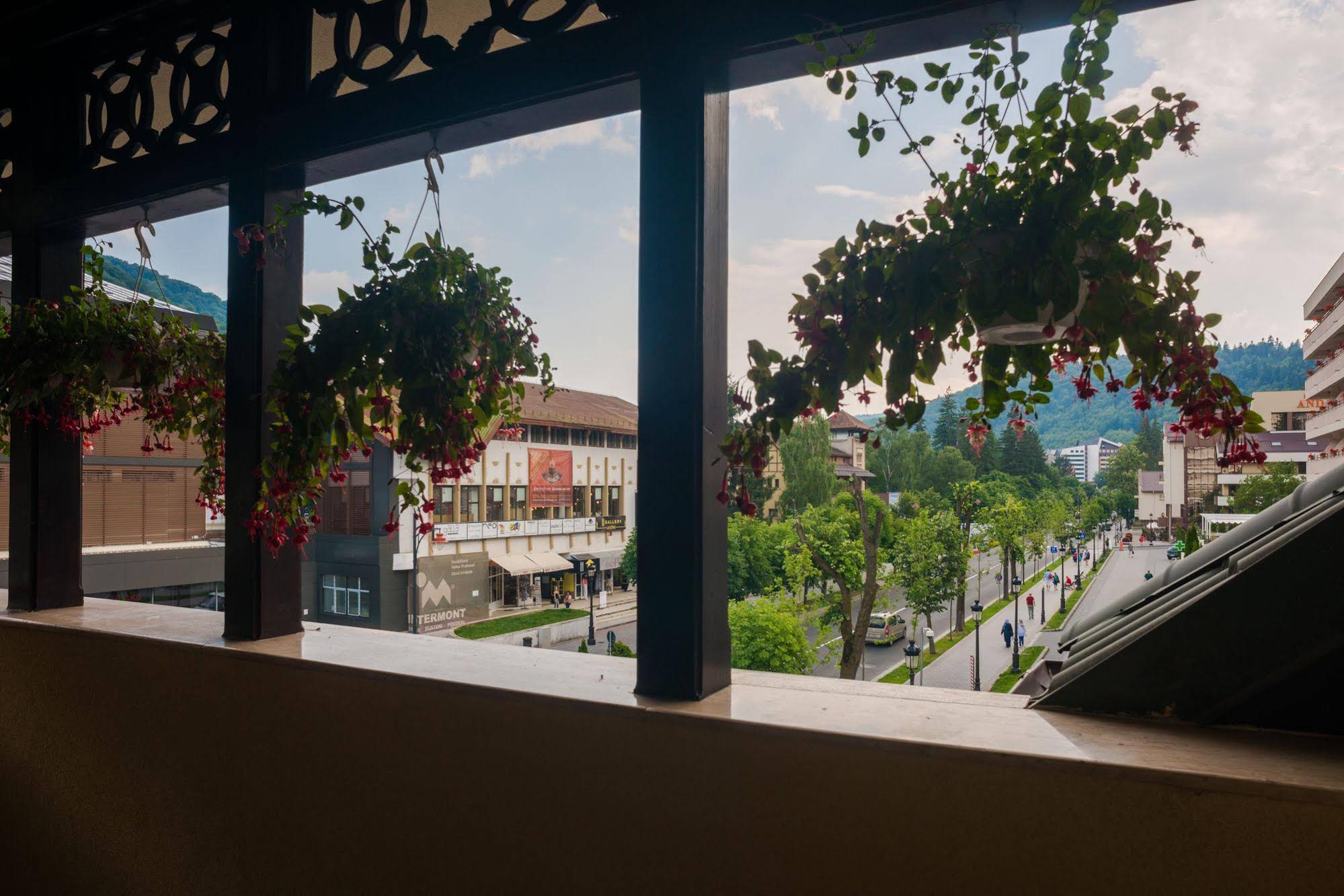 Bucegi Hotel - Sinaia