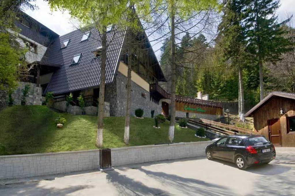 Cabana Schiori