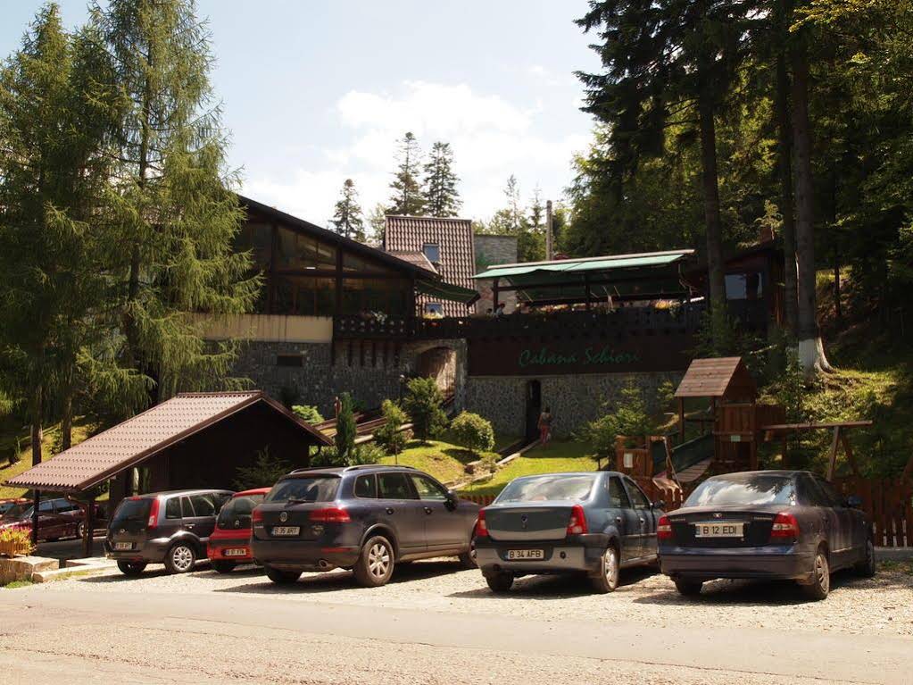 Cabana Schiori