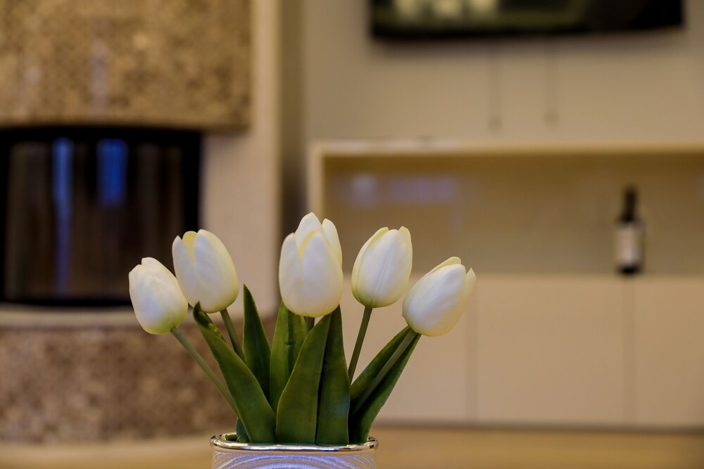 eXpecto Apartments