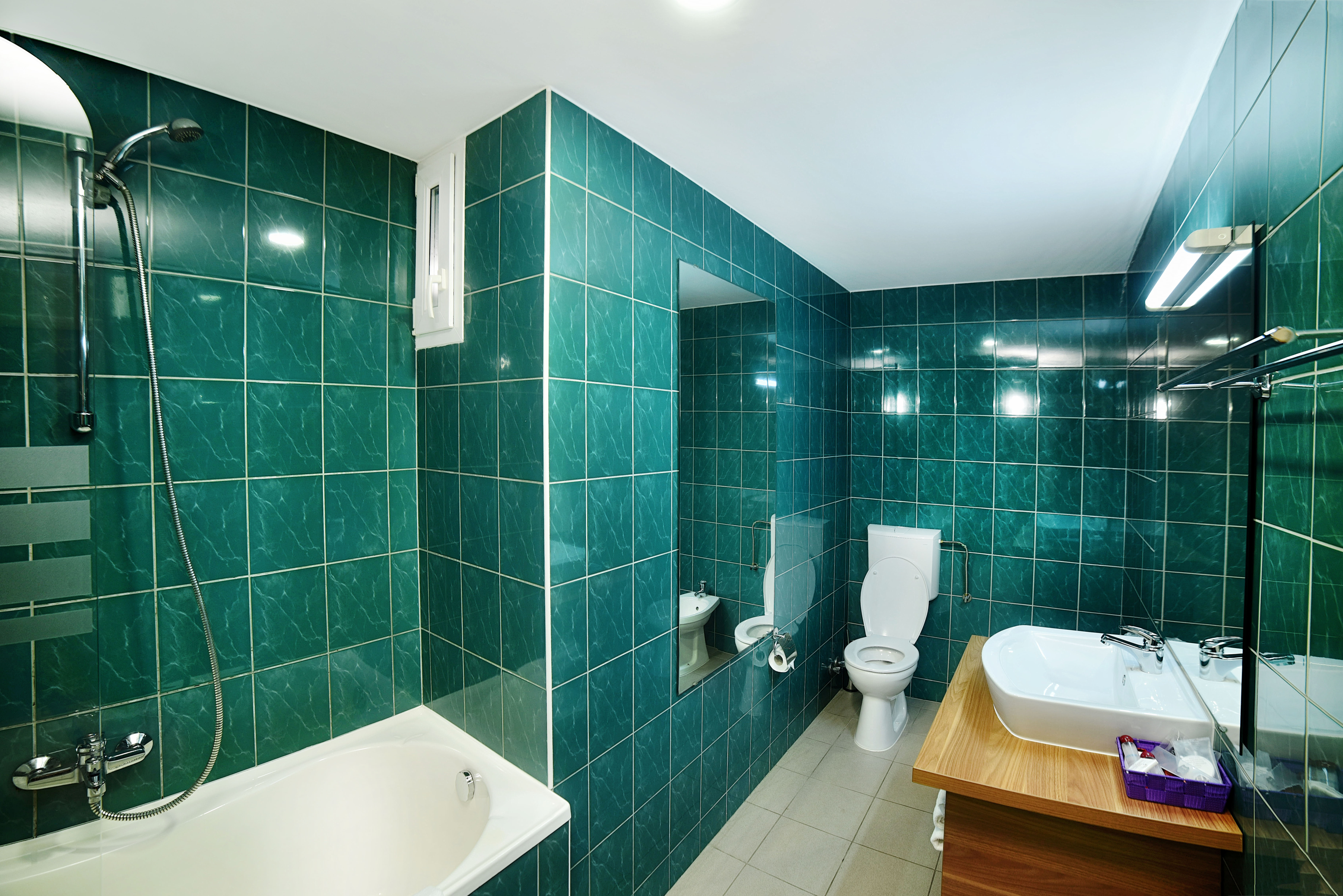 Hotel President Timisoara