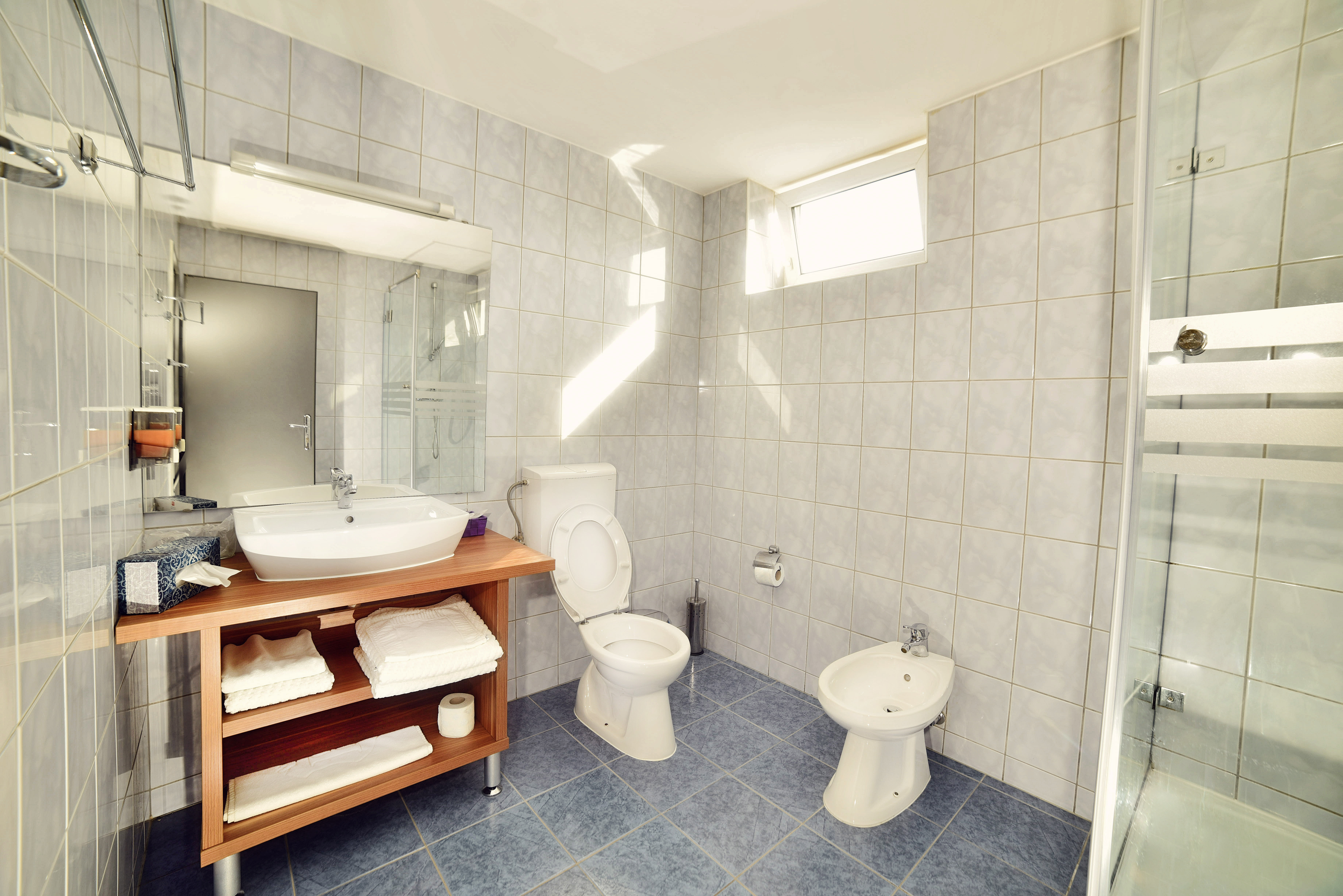 Hotel President Timisoara