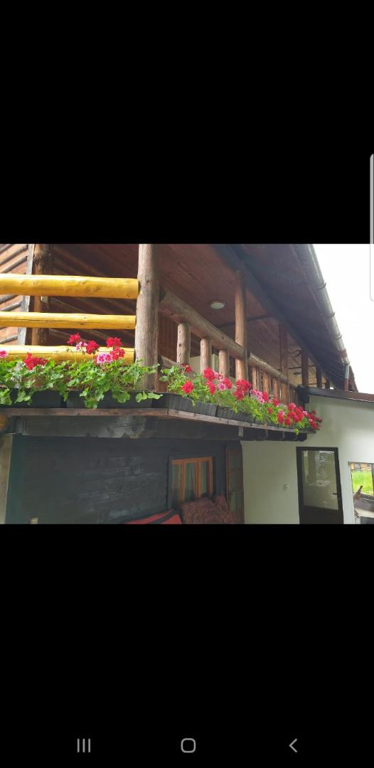 Pensiunea Padina