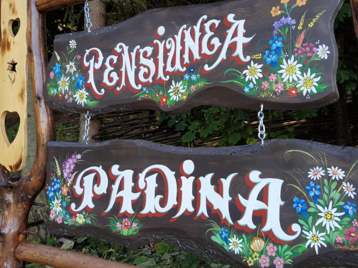 Pensiunea Padina