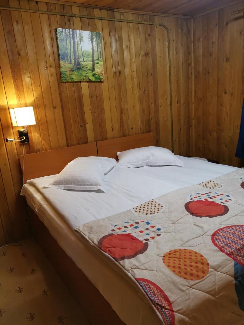 Cabana Fantanita Cu Brazi